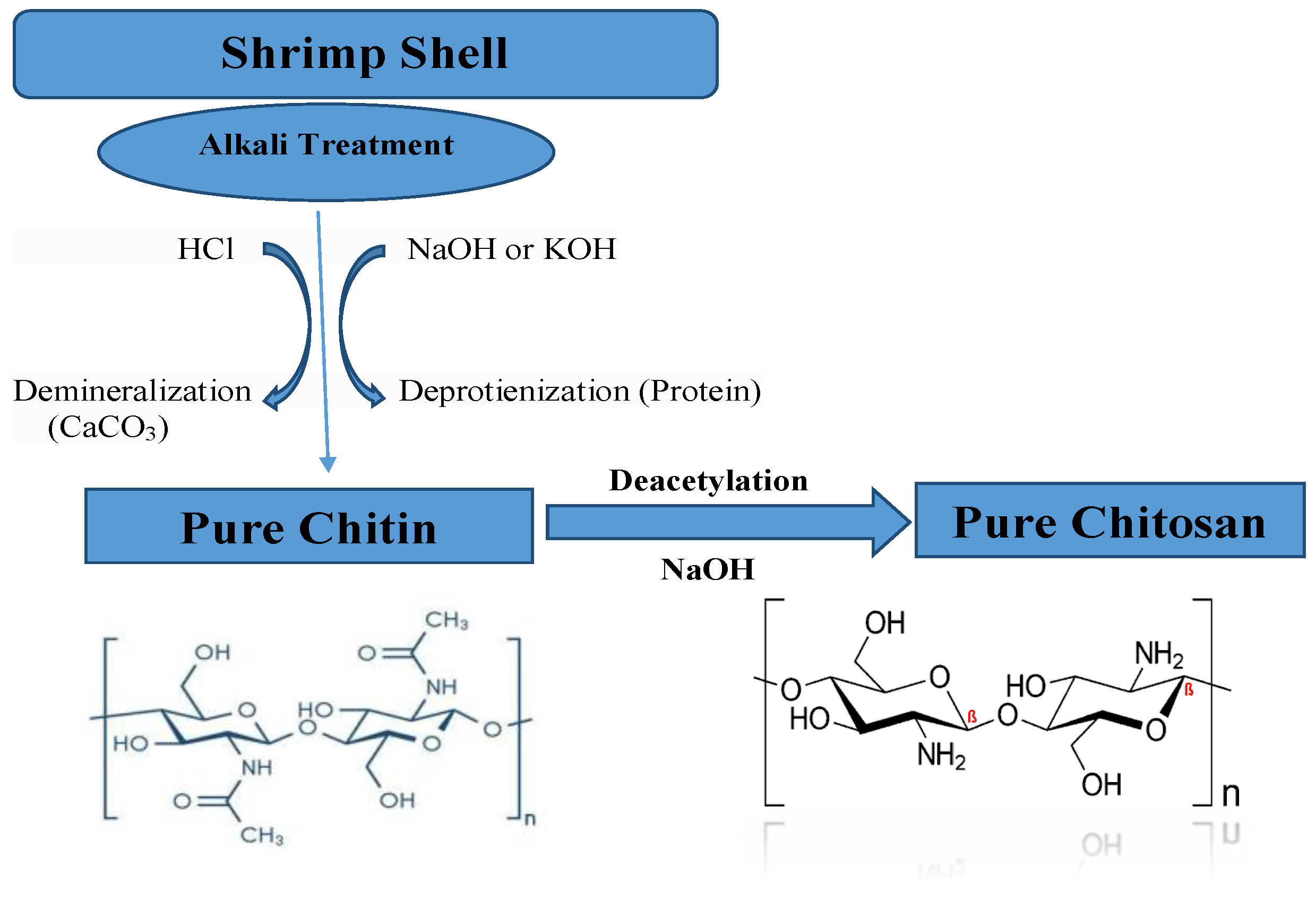 Polymers 13 02714 g001