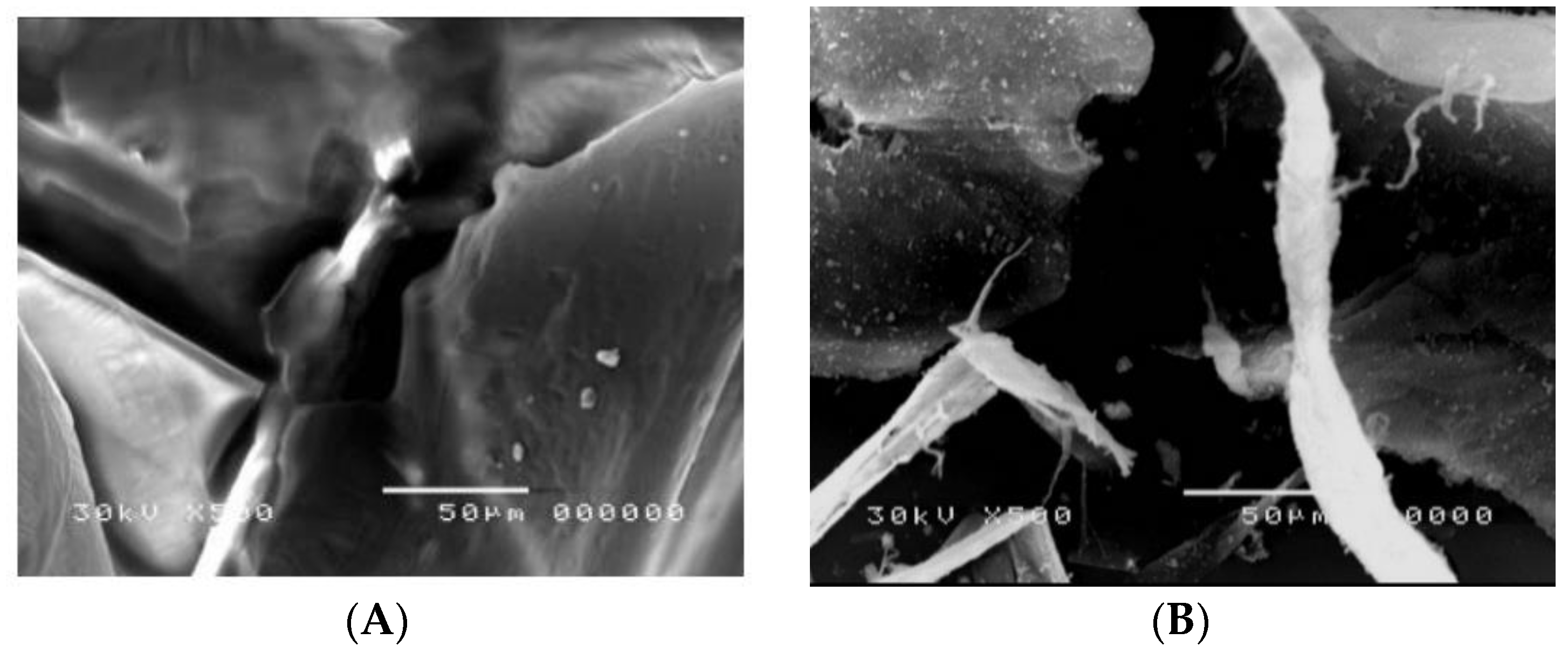 Polymers 13 02714 g007a