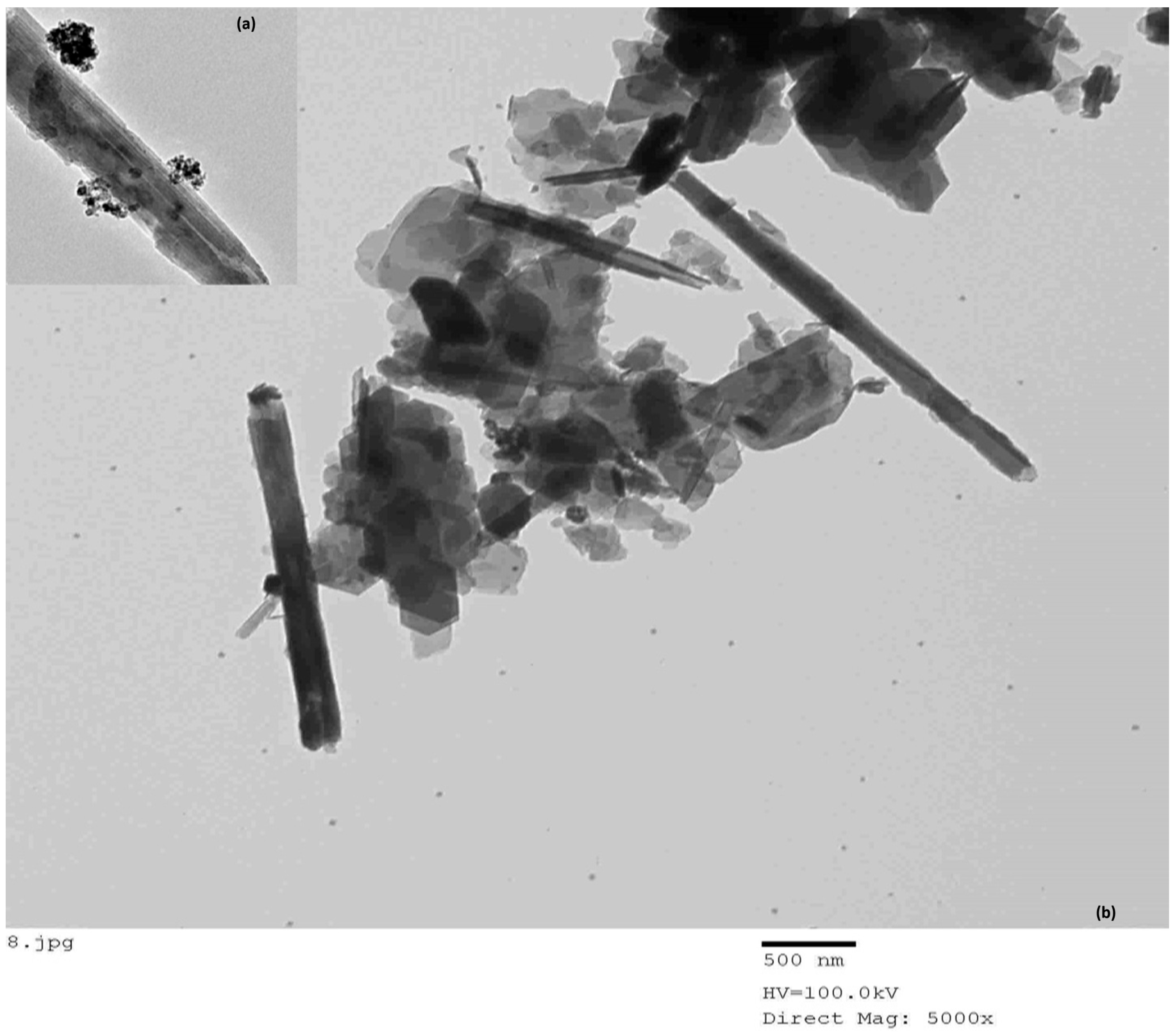 Polymers 13 02714 g008
