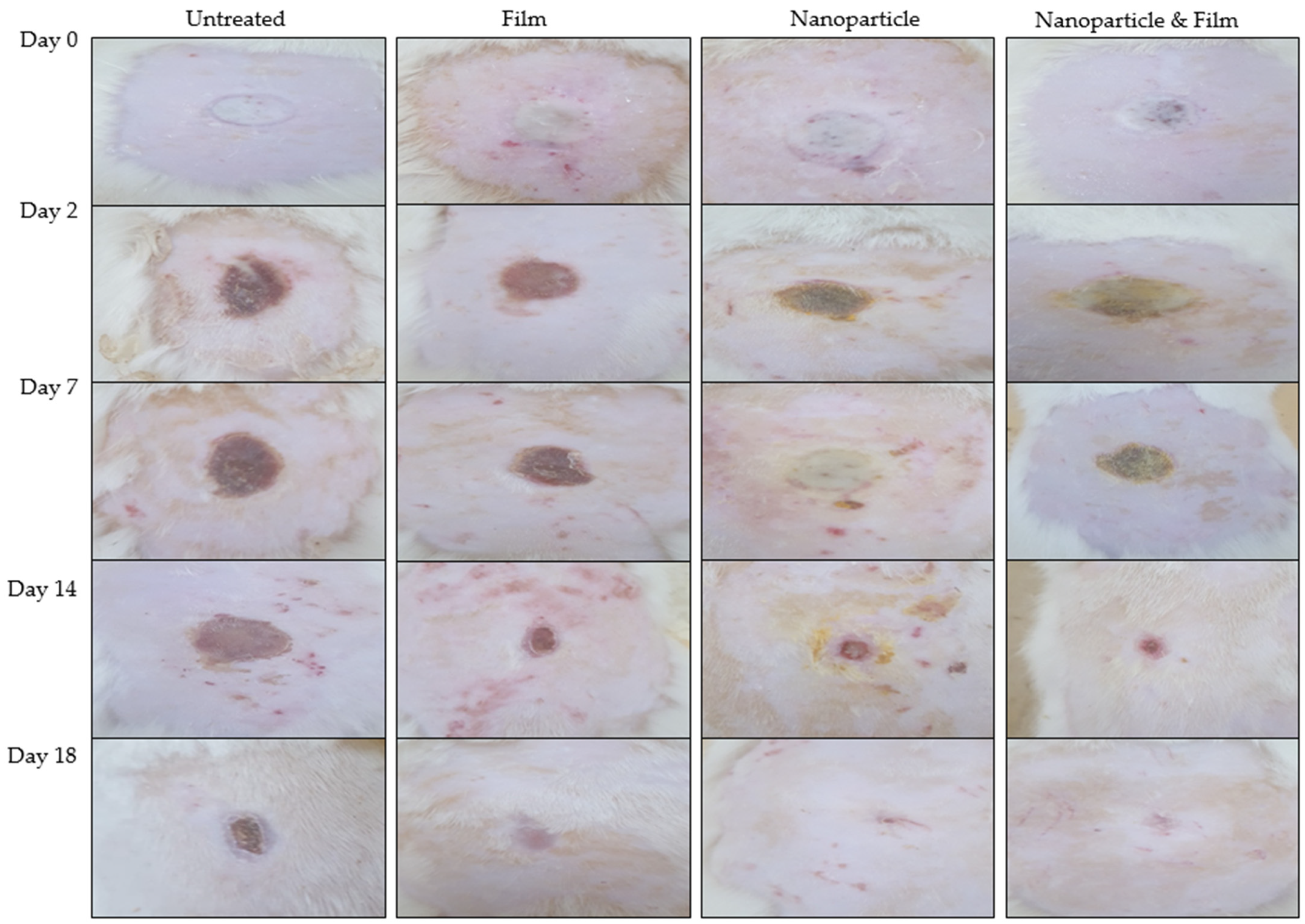 Polymers 13 02716 g006 Polymers 13 02716 g006