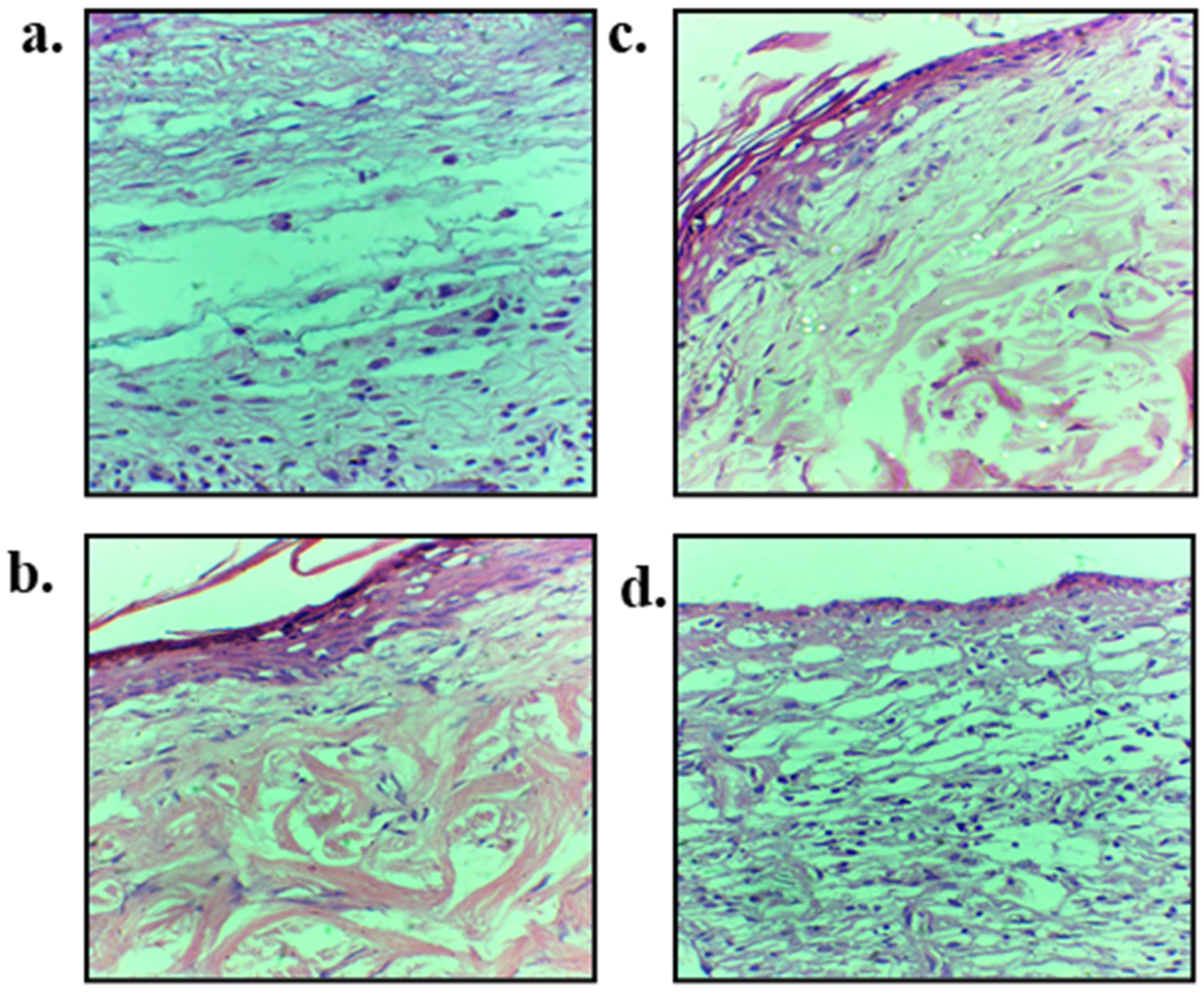 Polymers 13 02716 g010 Polymers 13 02716 g010