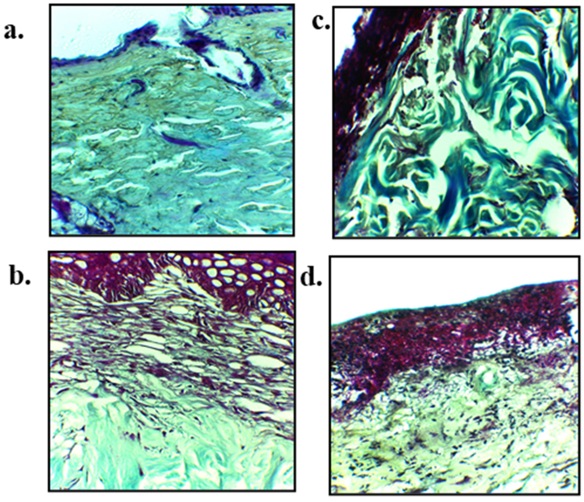 Polymers 13 02716 g011 Polymers 13 02716 g011