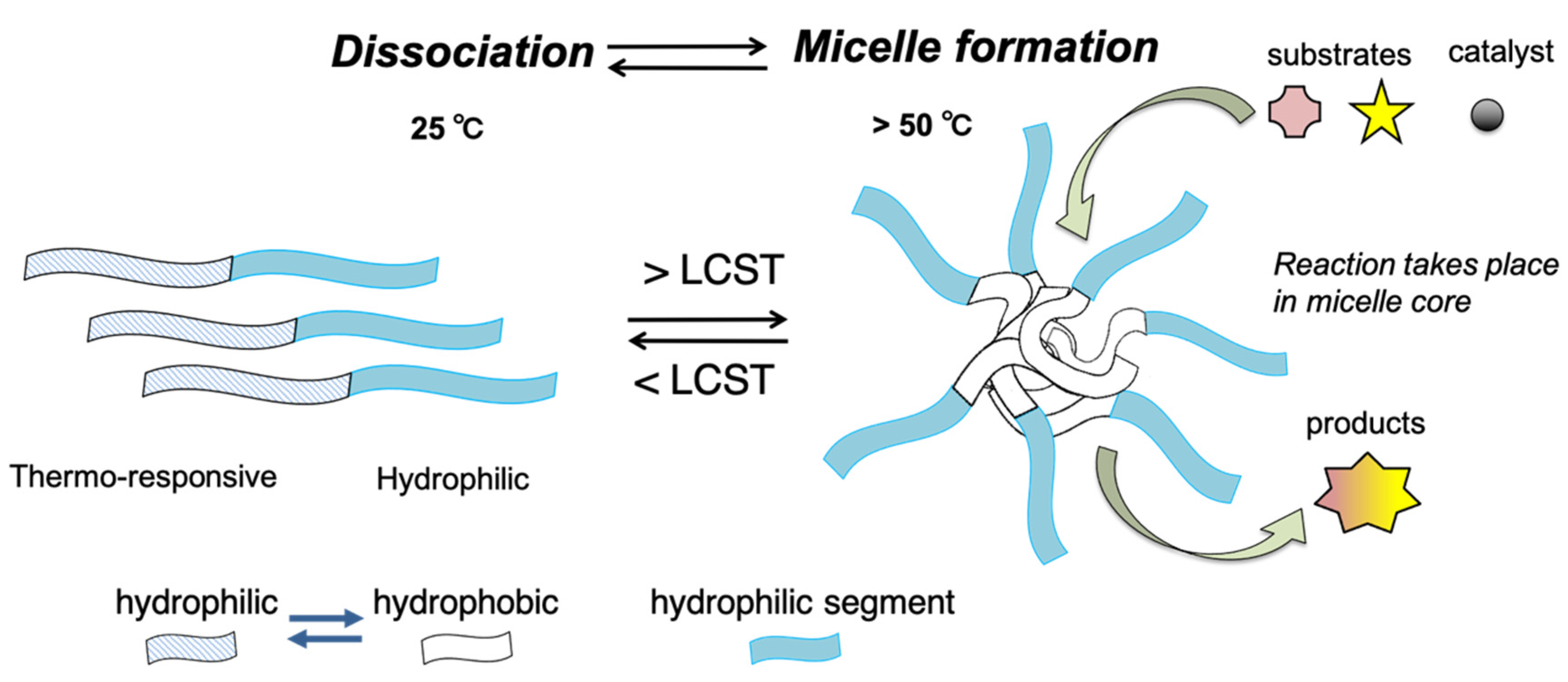Polymers 13 02717 g001