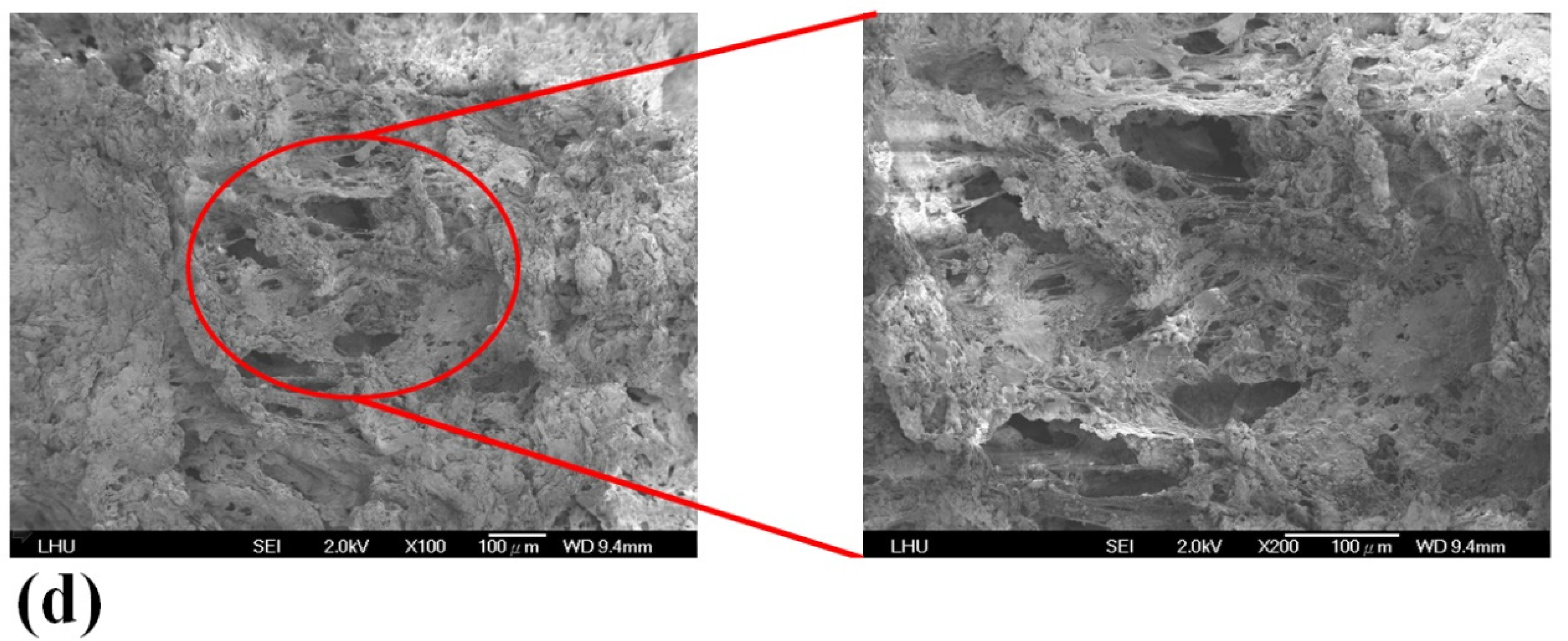 Polymers 13 02718 g002b