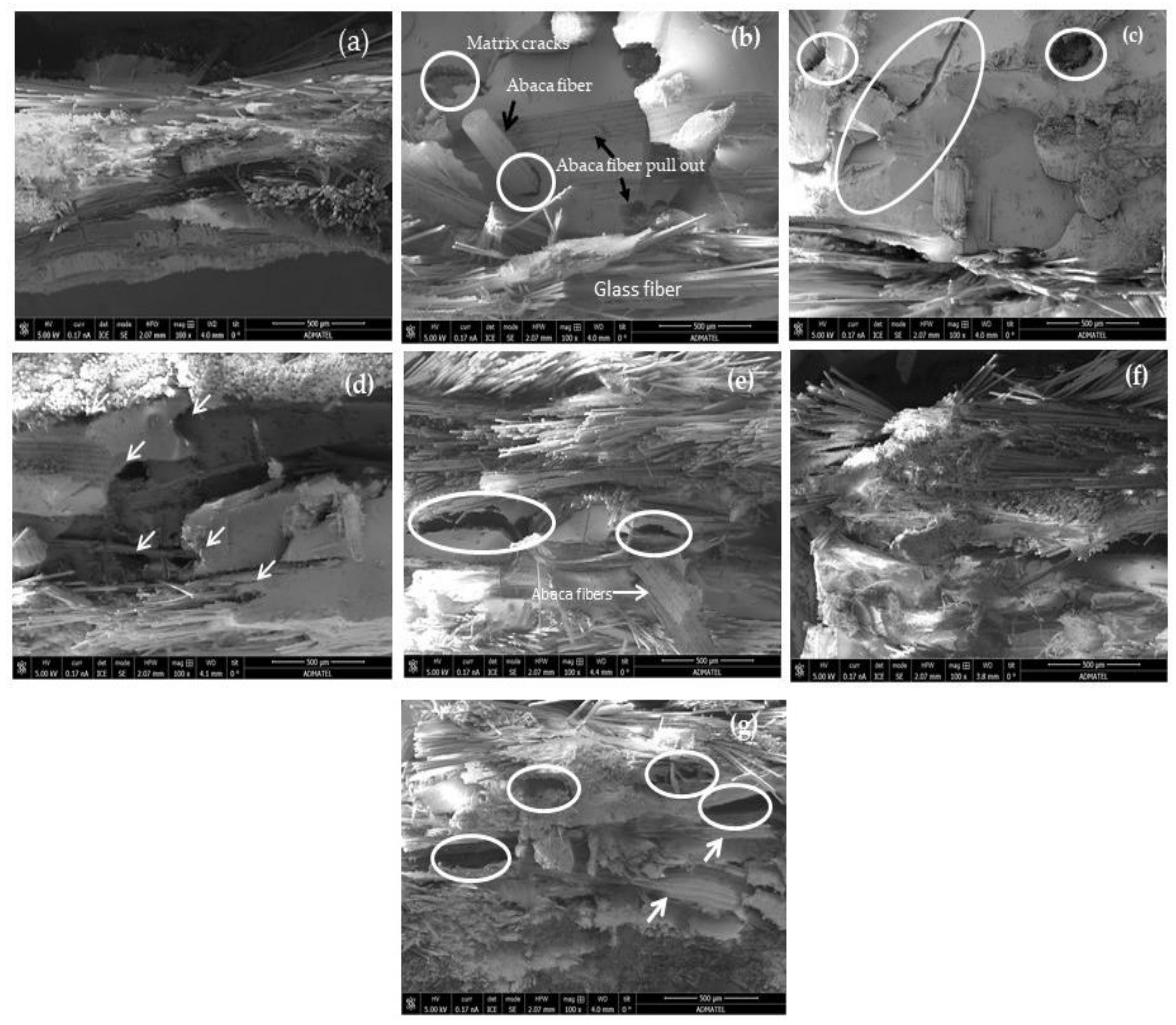 Polymers 13 02719 g006