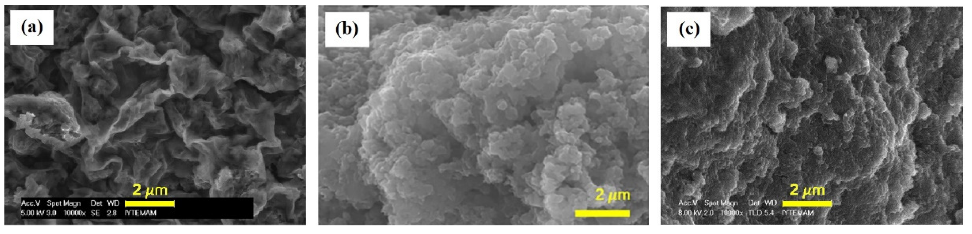 Polymers 13 02722 g007