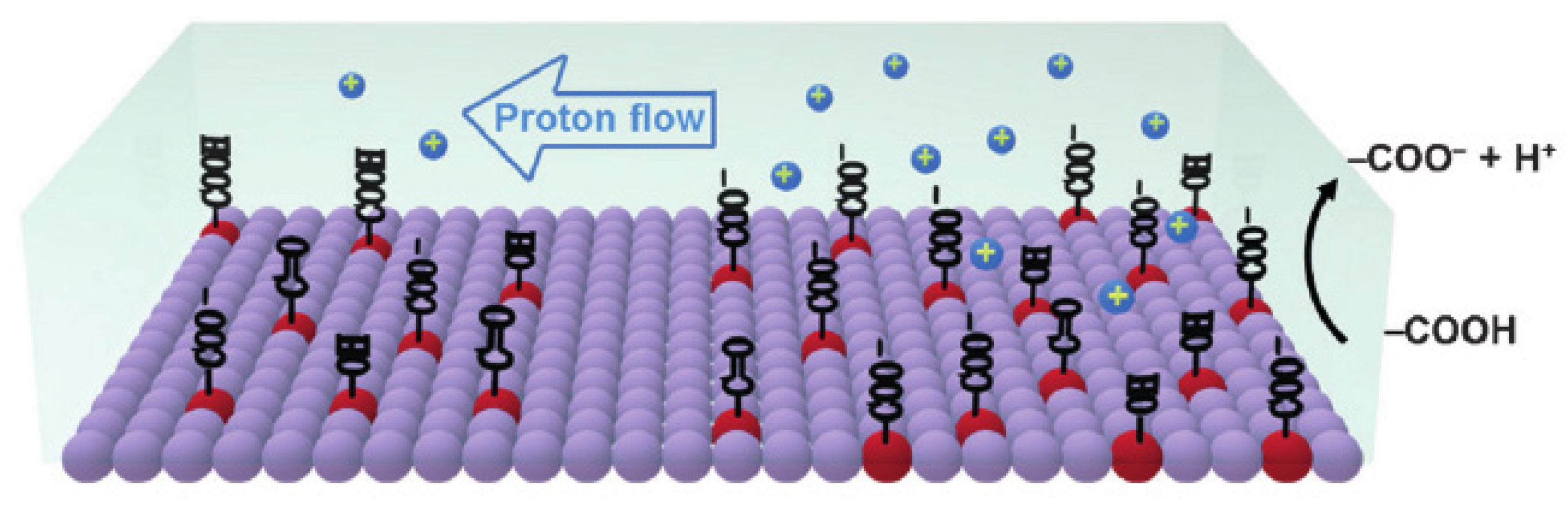 Polymers 13 02722 g015