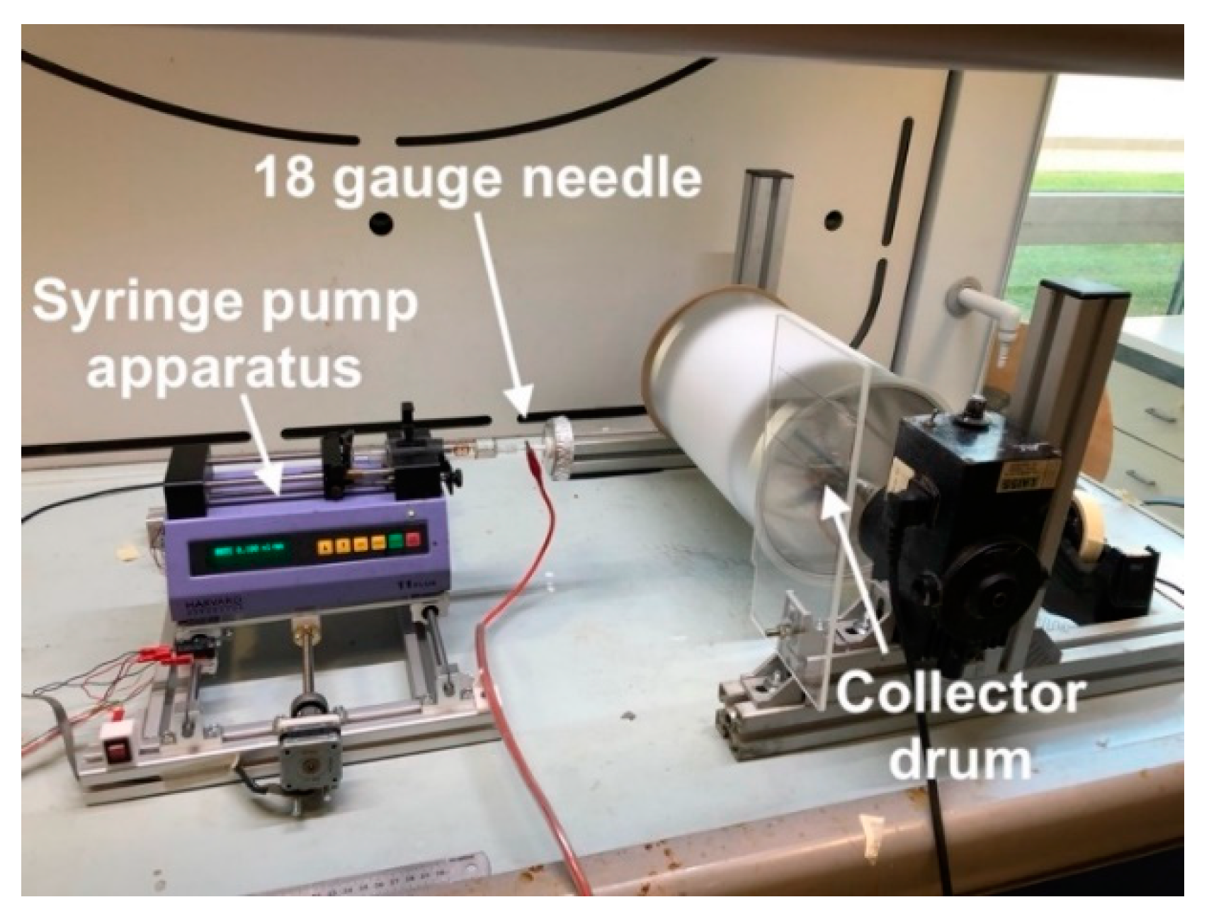 Polymers 13 02723 g001