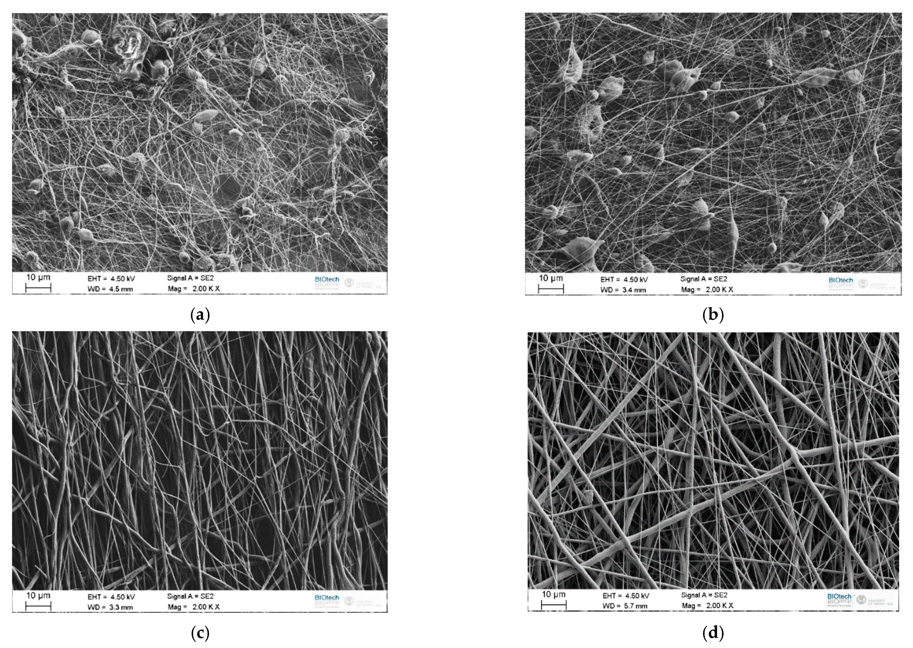 Polymers 13 02723 g005