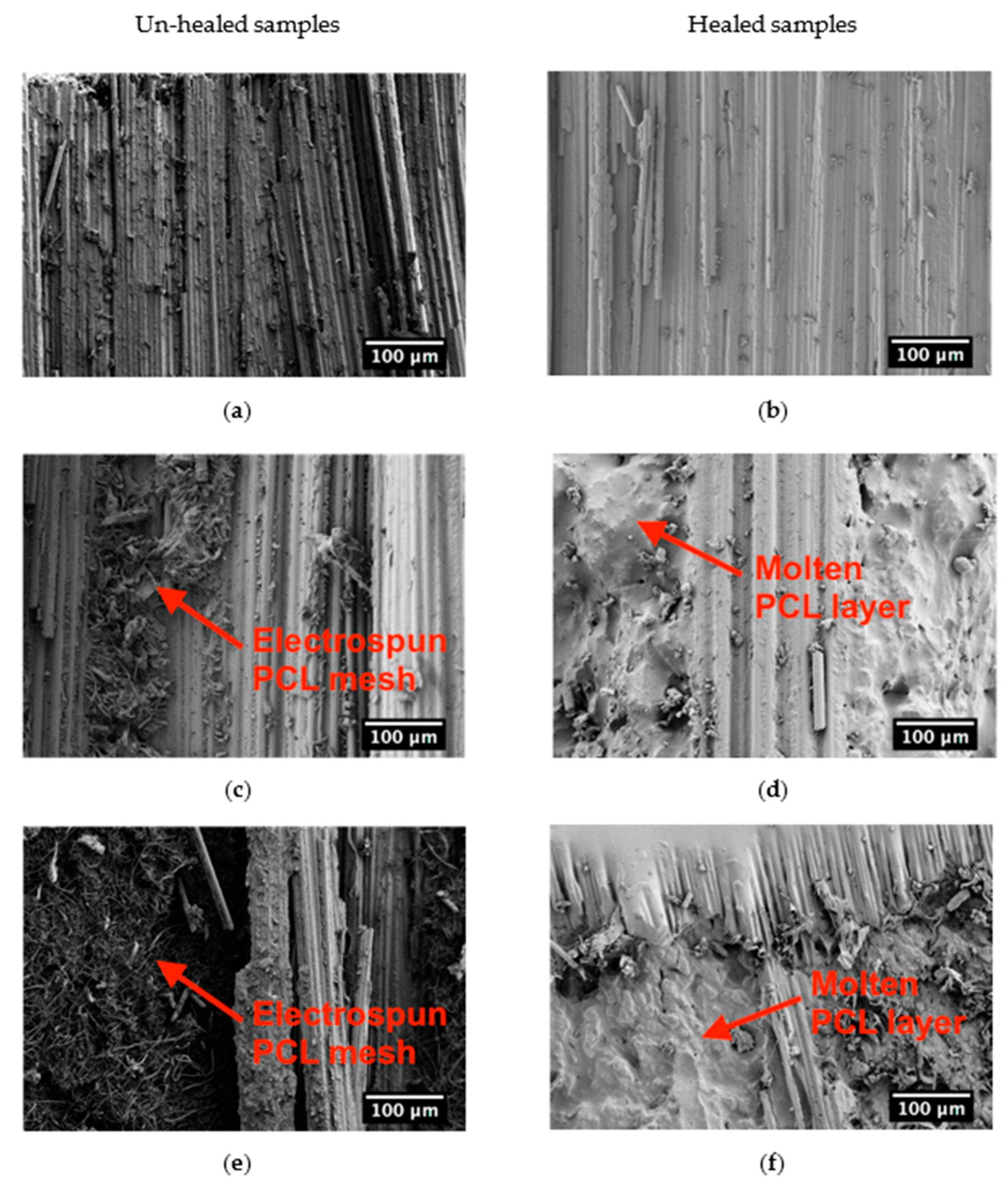 Polymers 13 02723 g011