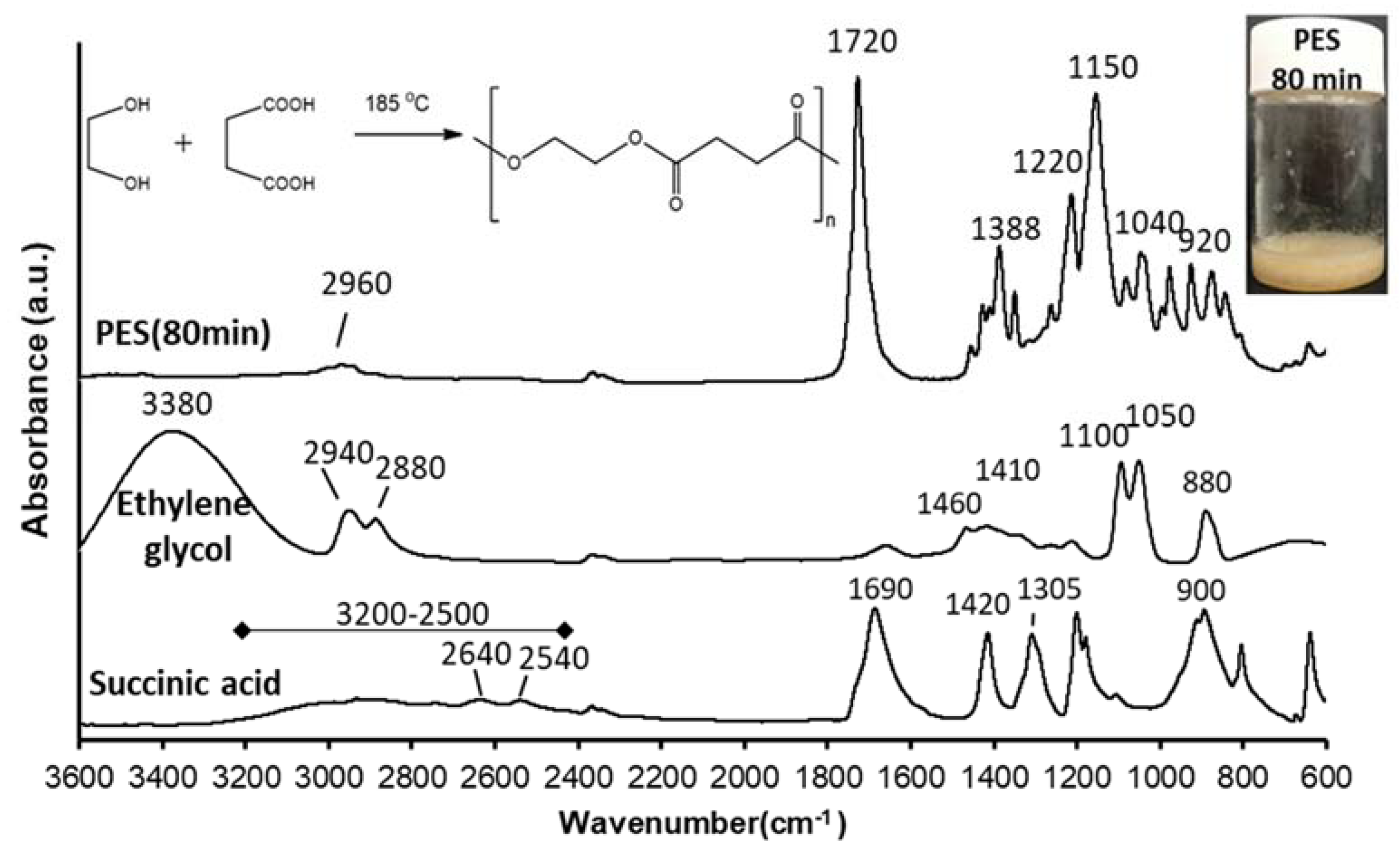 Polymers 13 02725 g001