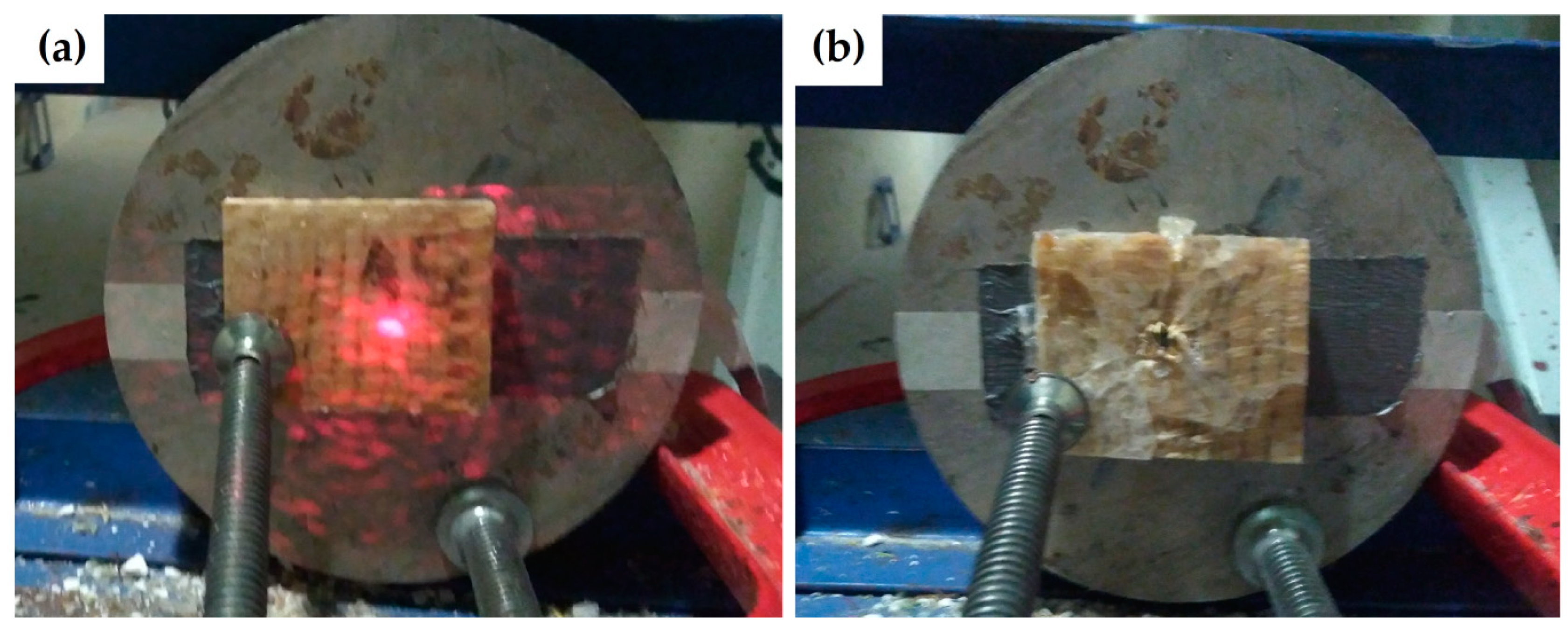 Polymers 13 02727 g004 550