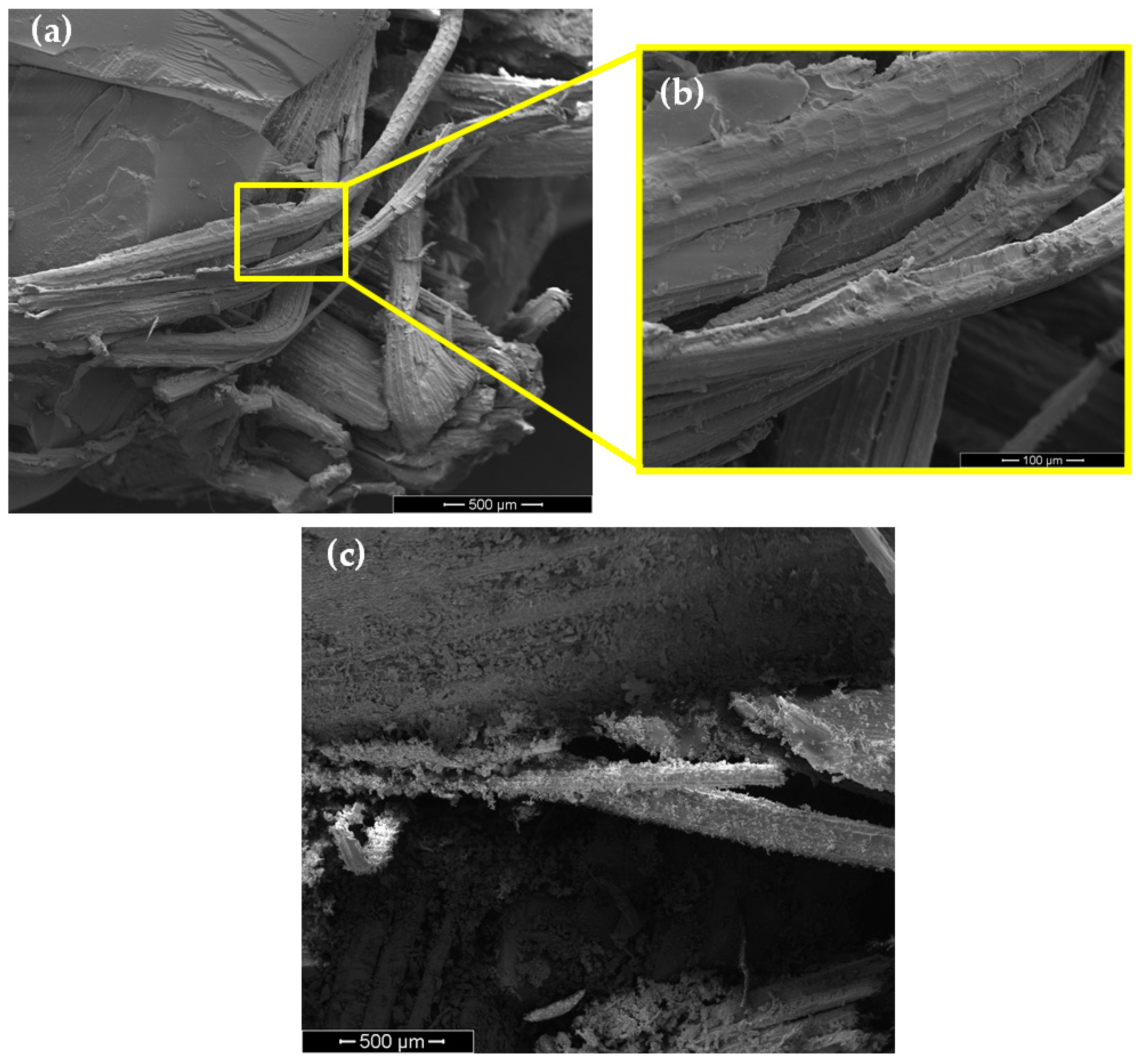Polymers 13 02727 g009 550