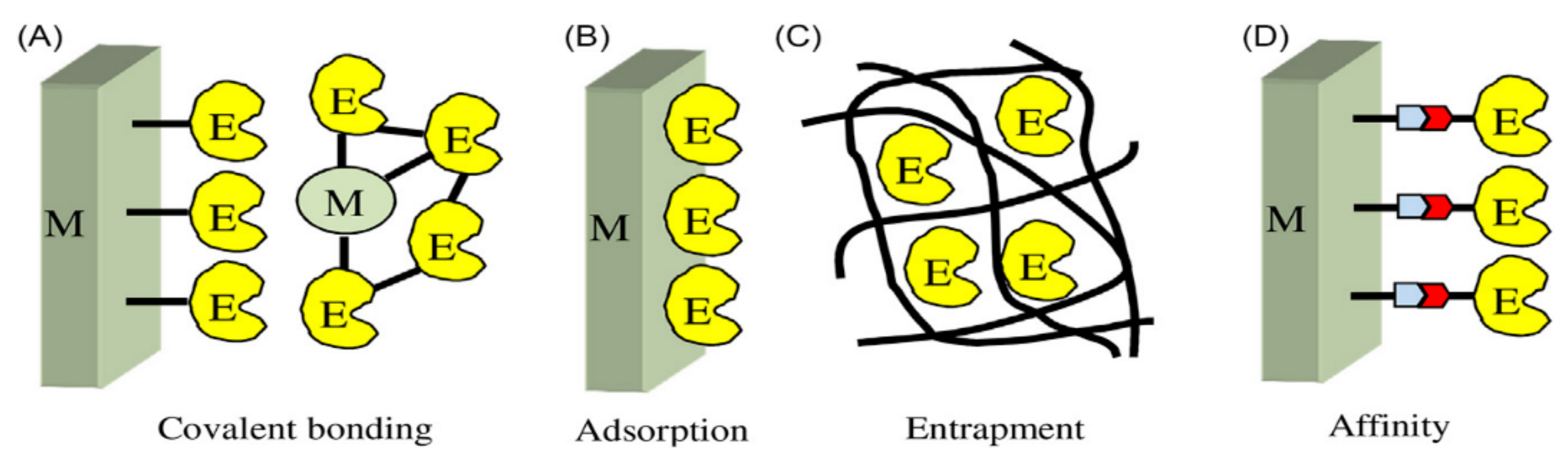 Polymers 13 02728 g002 550