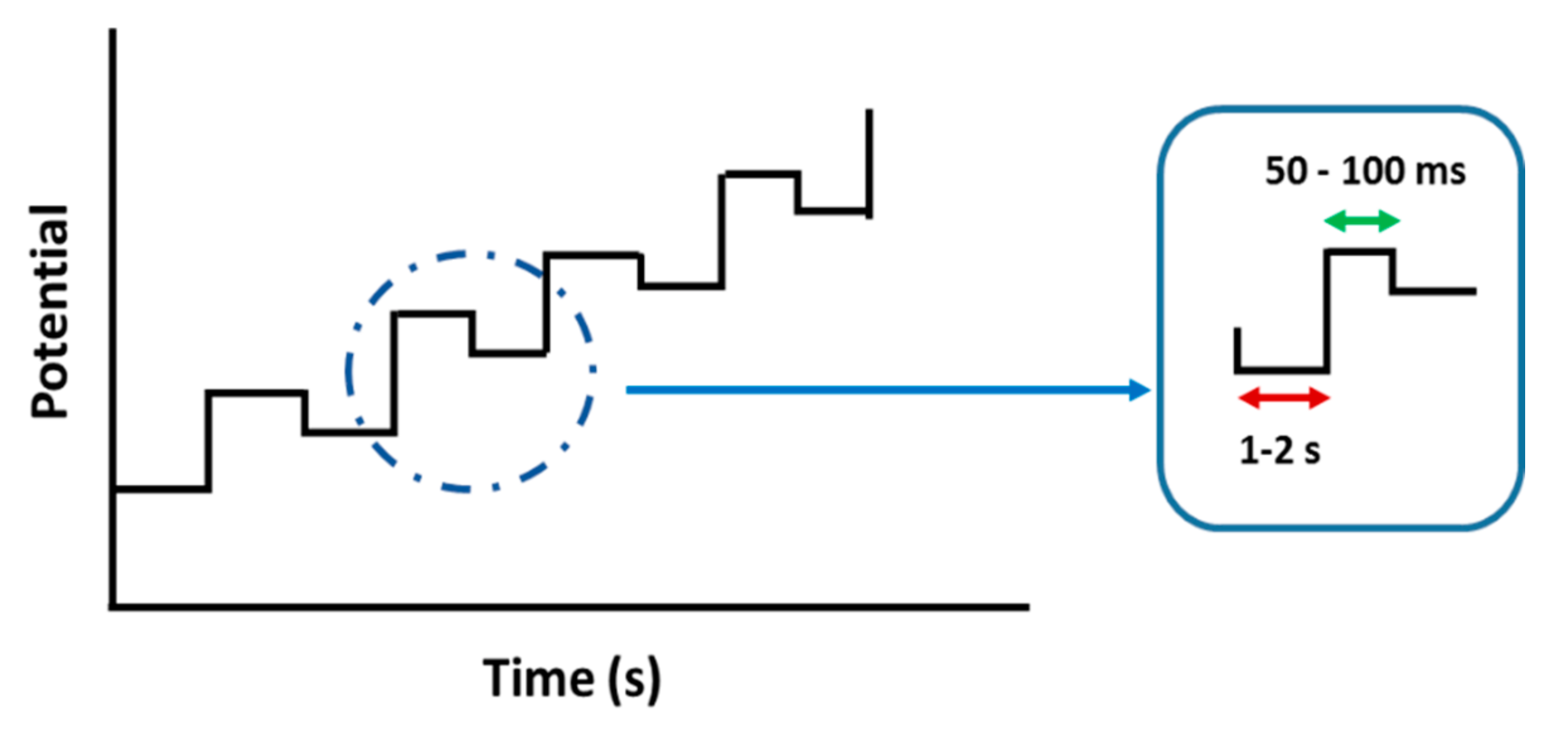 Polymers 13 02728 g010 550