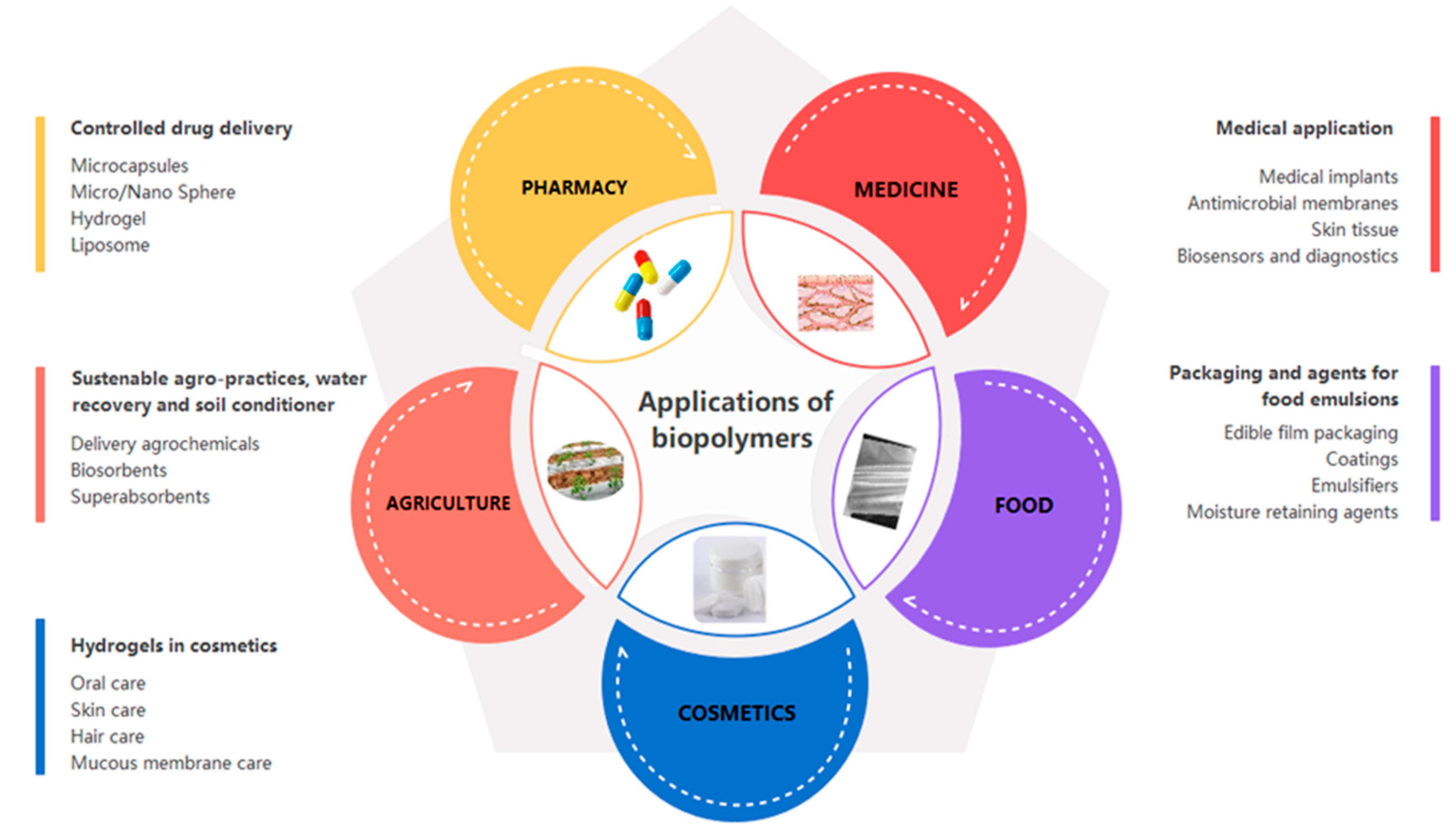 Polymers 13 02729 g002