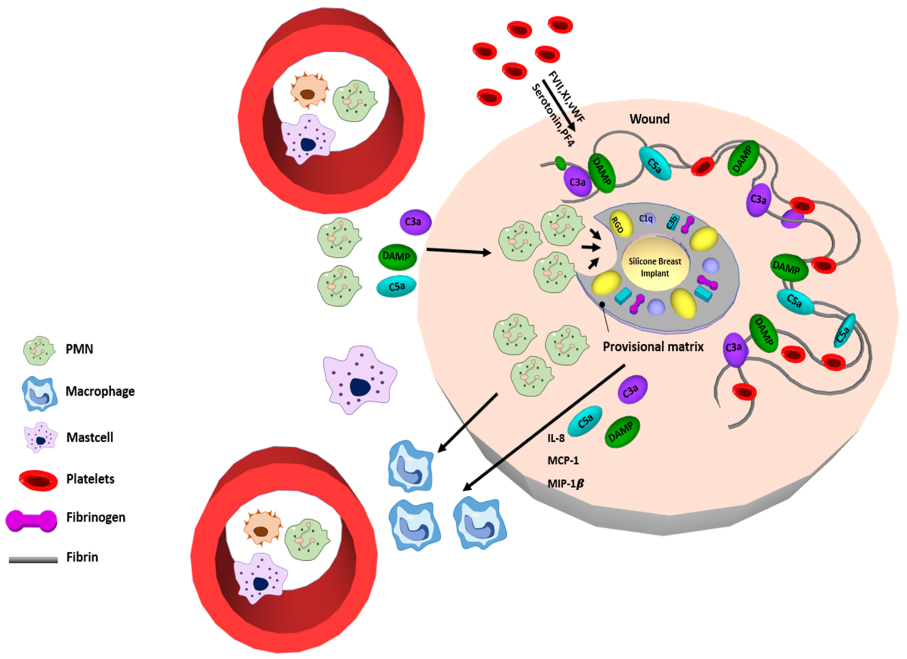 Polymers 13 02731 g002 Polymers 13 02731 g002