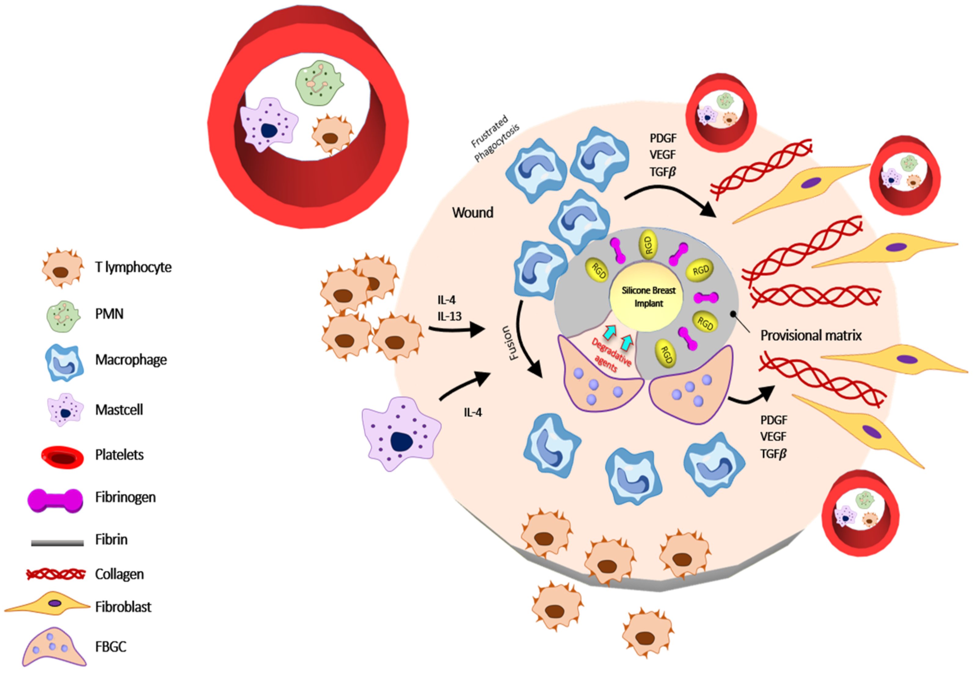 Polymers 13 02731 g003 Polymers 13 02731 g003