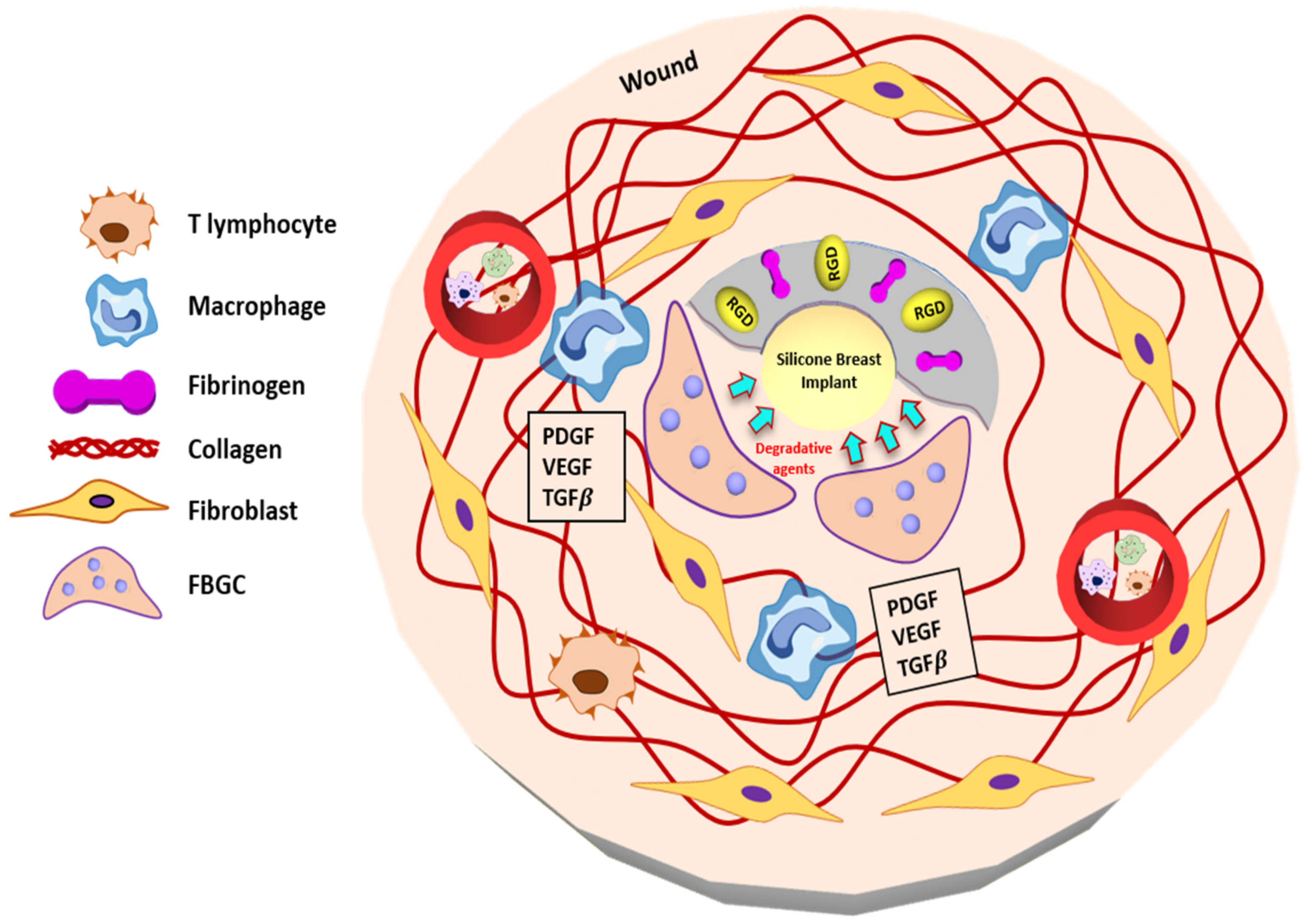 Polymers 13 02731 g004 Polymers 13 02731 g004