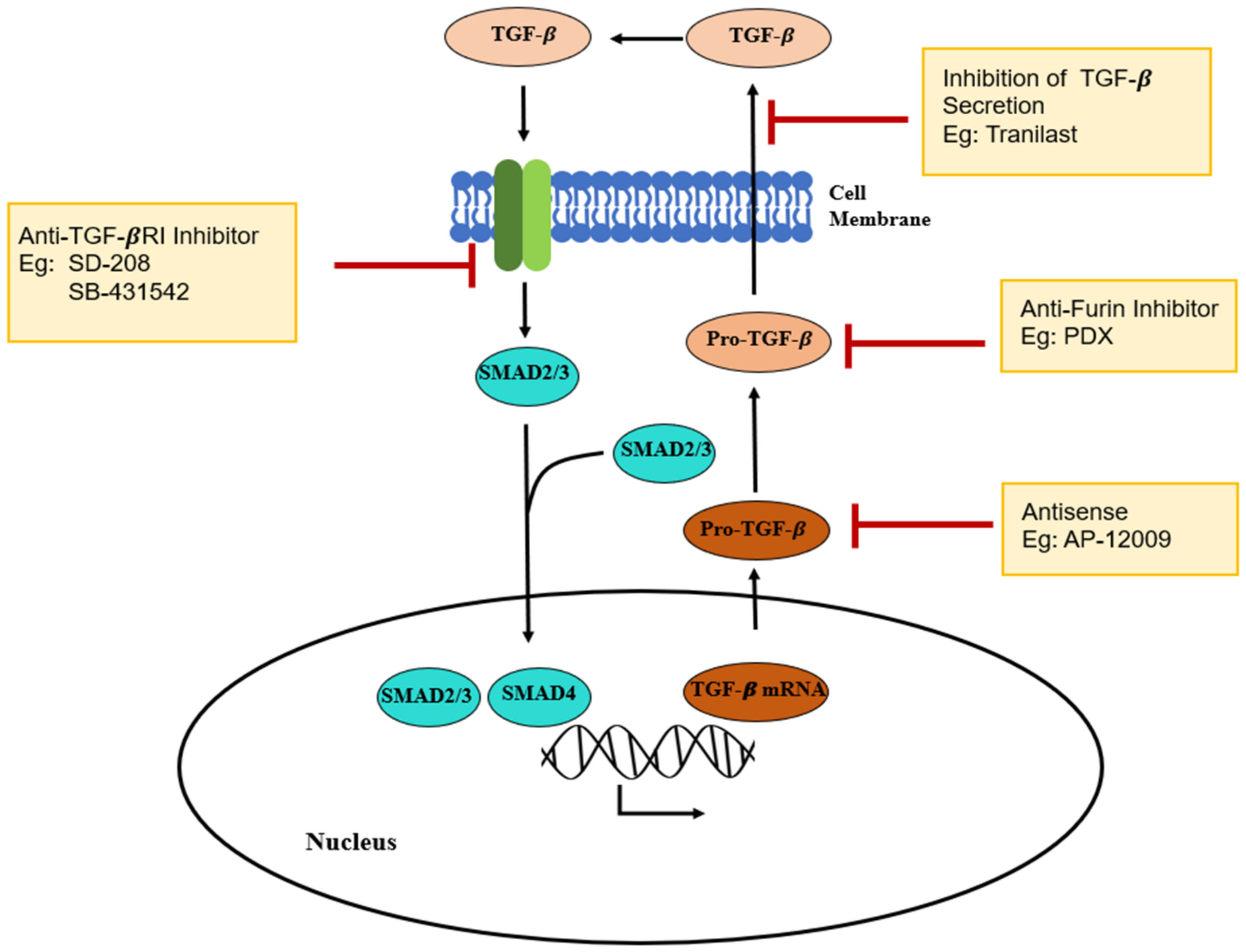 Polymers 13 02731 g006 Polymers 13 02731 g006