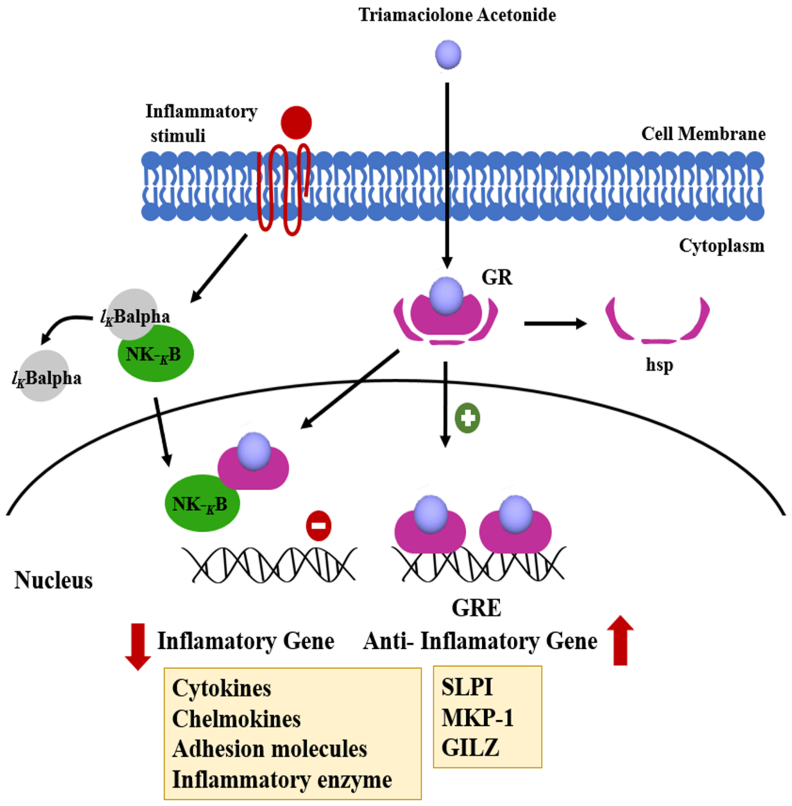 Polymers 13 02731 g007 Polymers 13 02731 g007