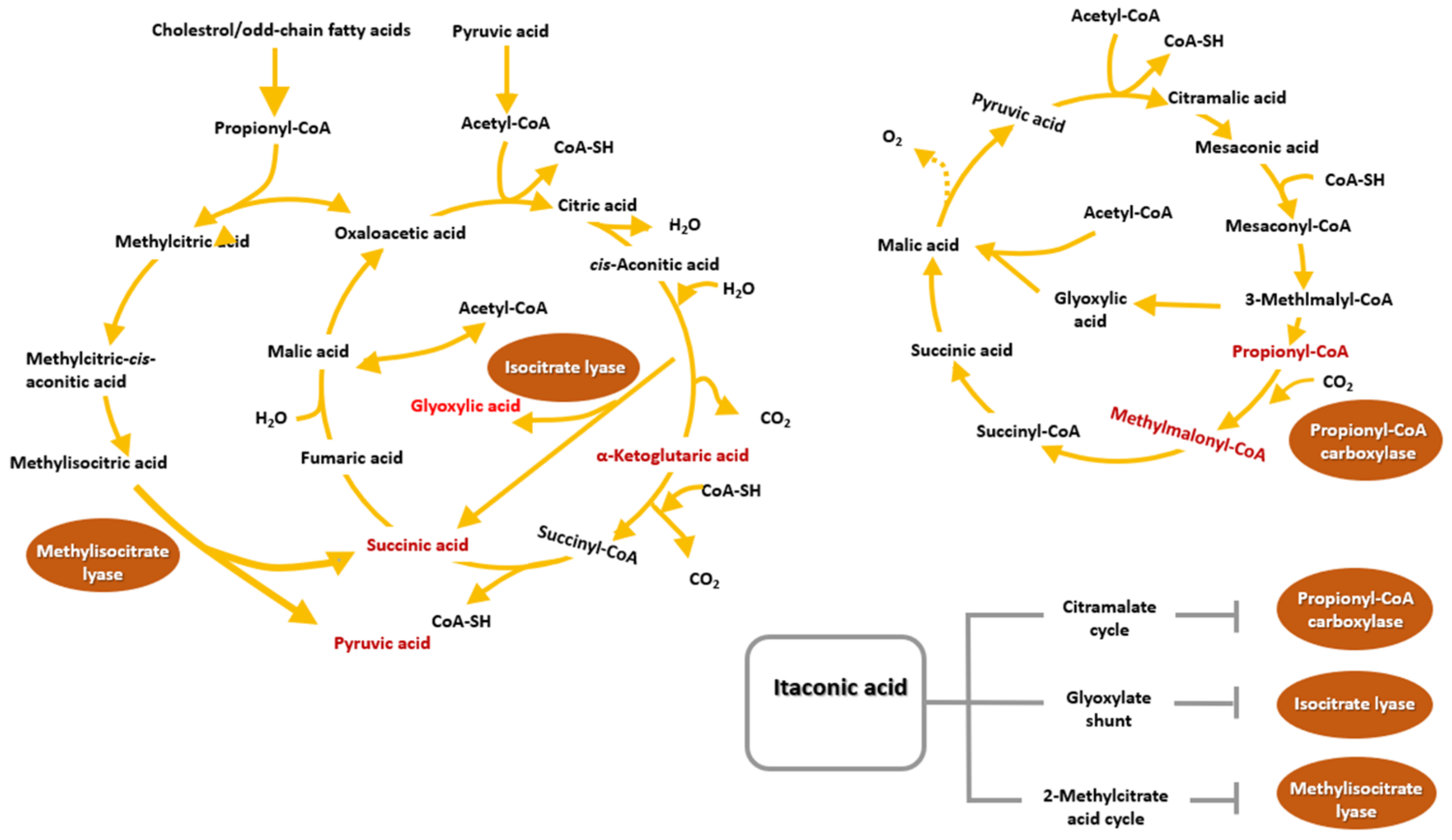 Polymers 13 02731 g009 Polymers 13 02731 g009