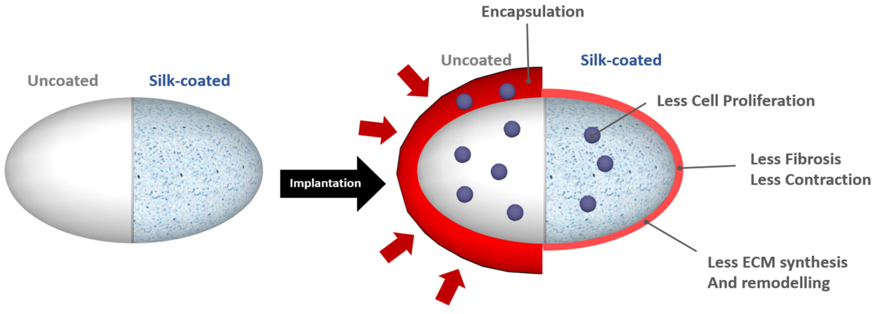 Polymers 13 02731 g012 Polymers 13 02731 g012