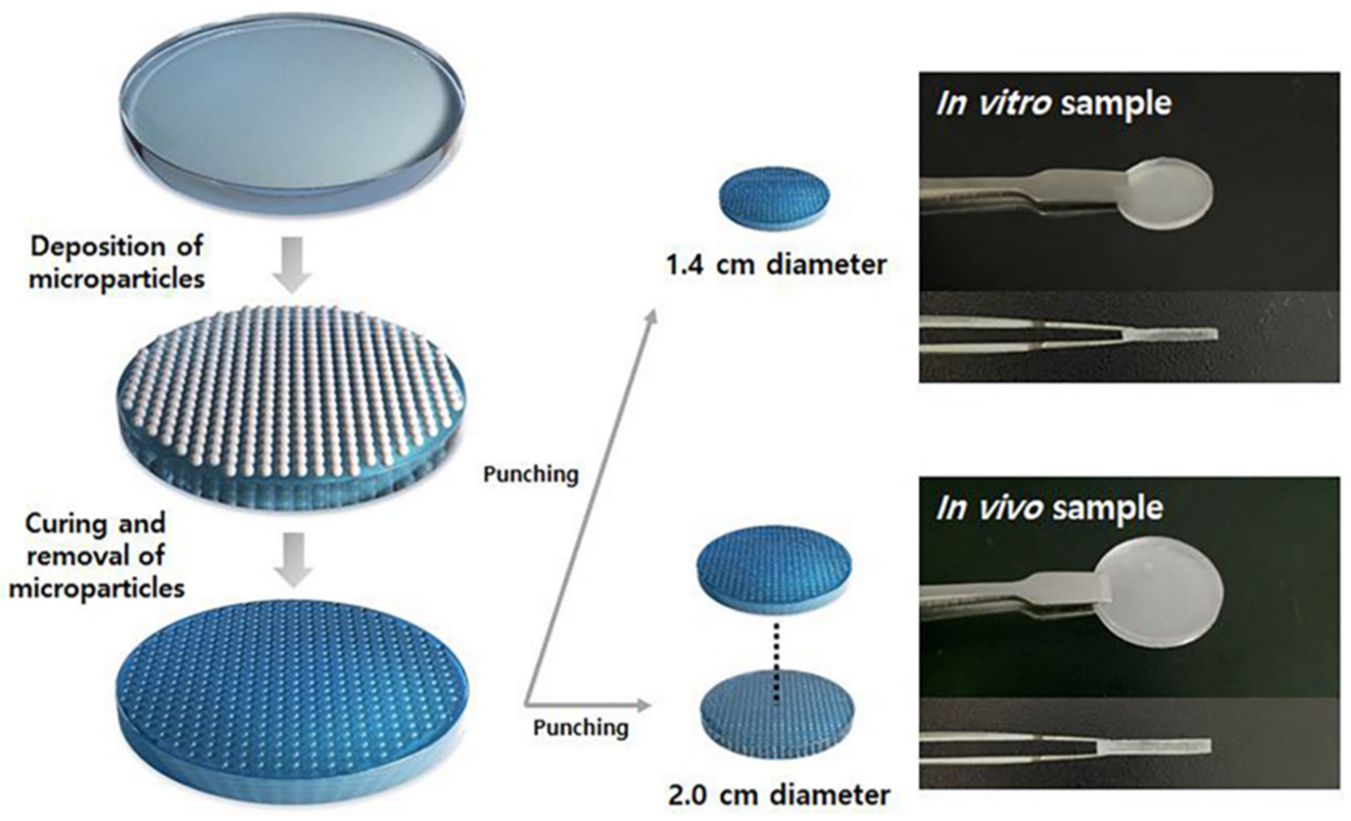 Polymers 13 02731 g015 Polymers 13 02731 g015