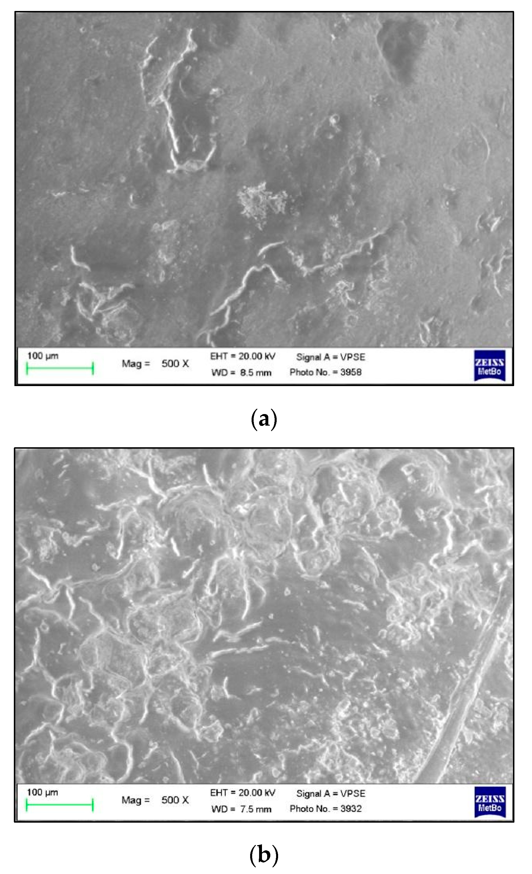 Polymers 13 02740 g006 550
