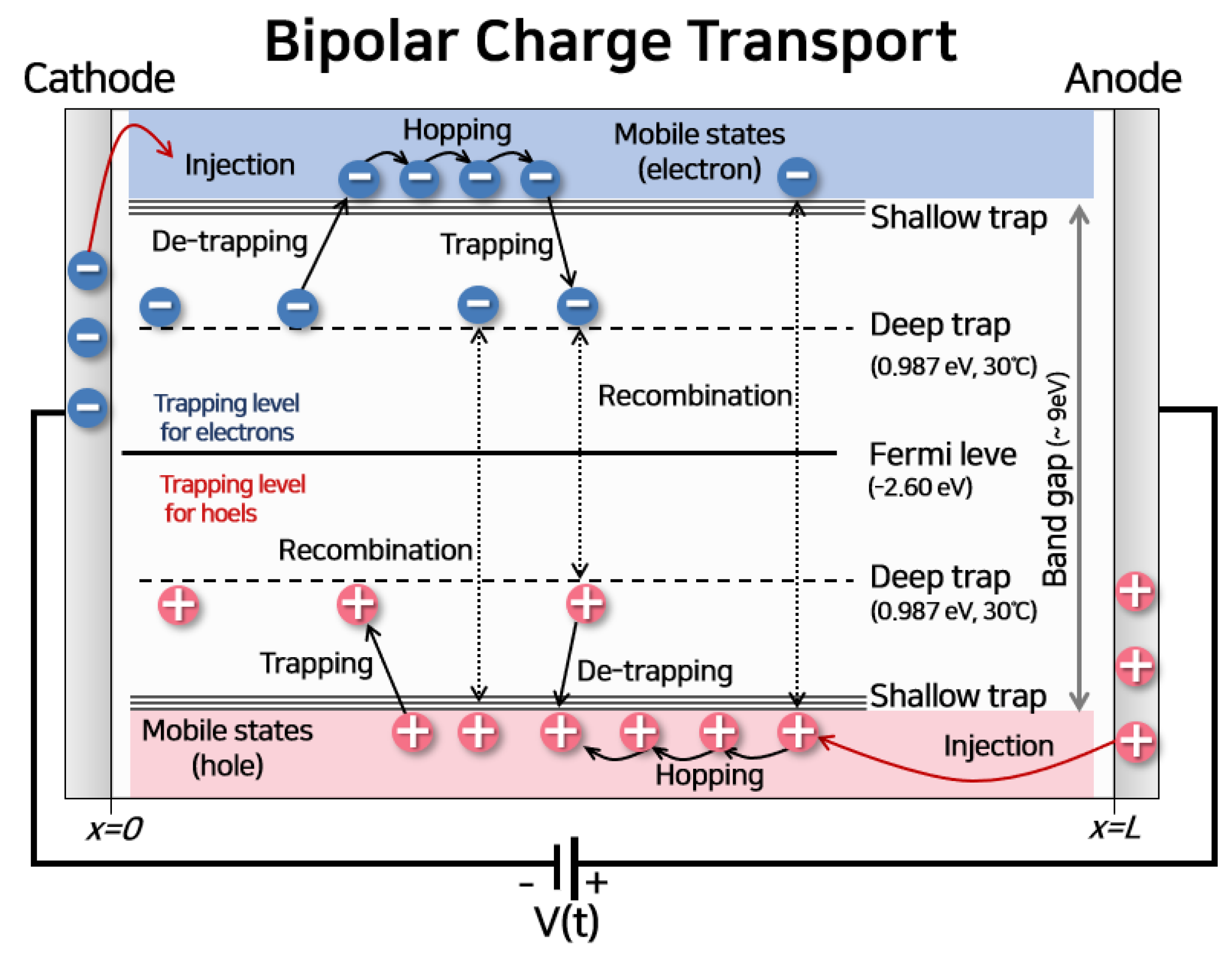 Polymers 13 02746 g002