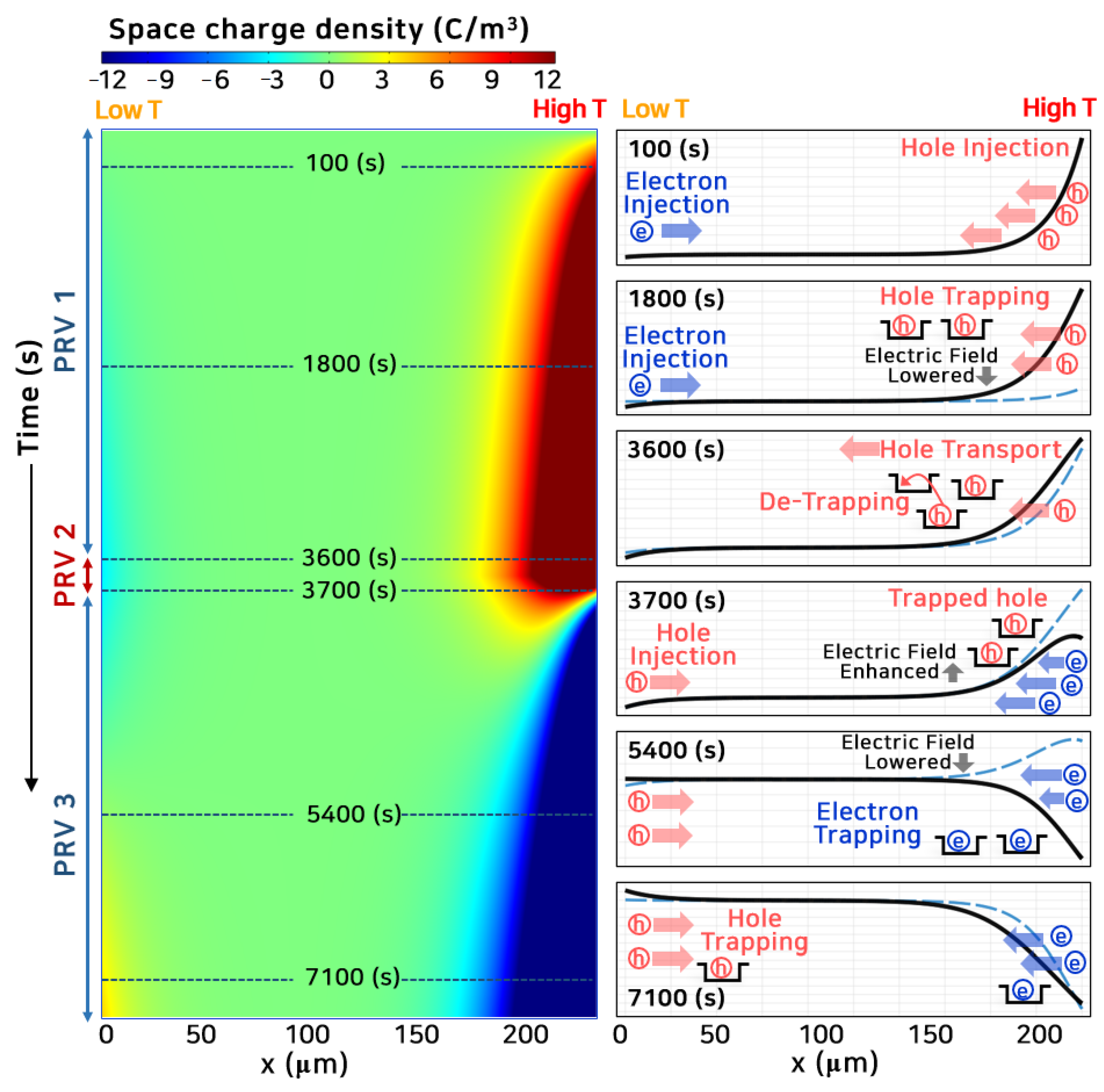 Polymers 13 02746 g005
