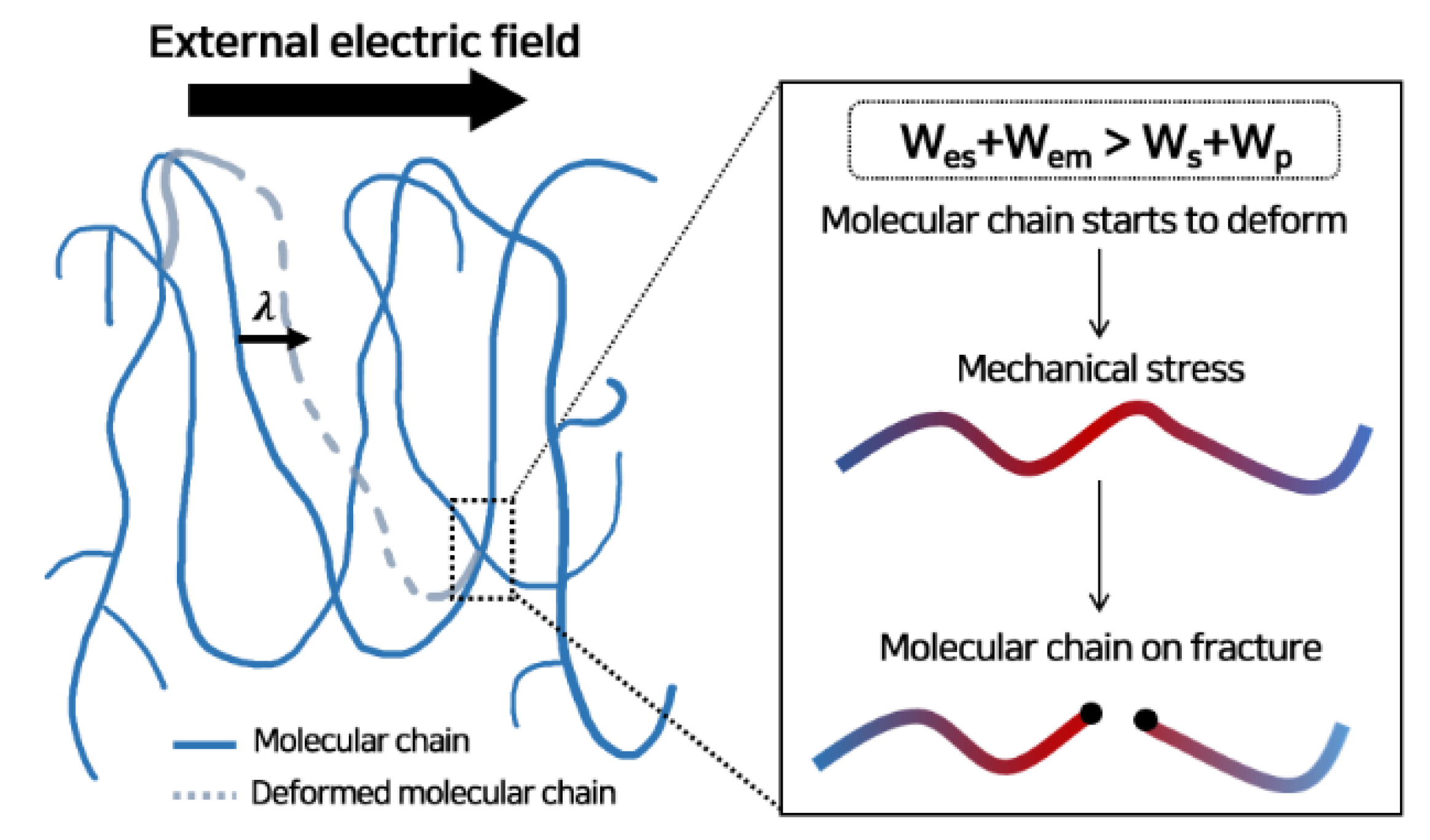 Polymers 13 02746 g007