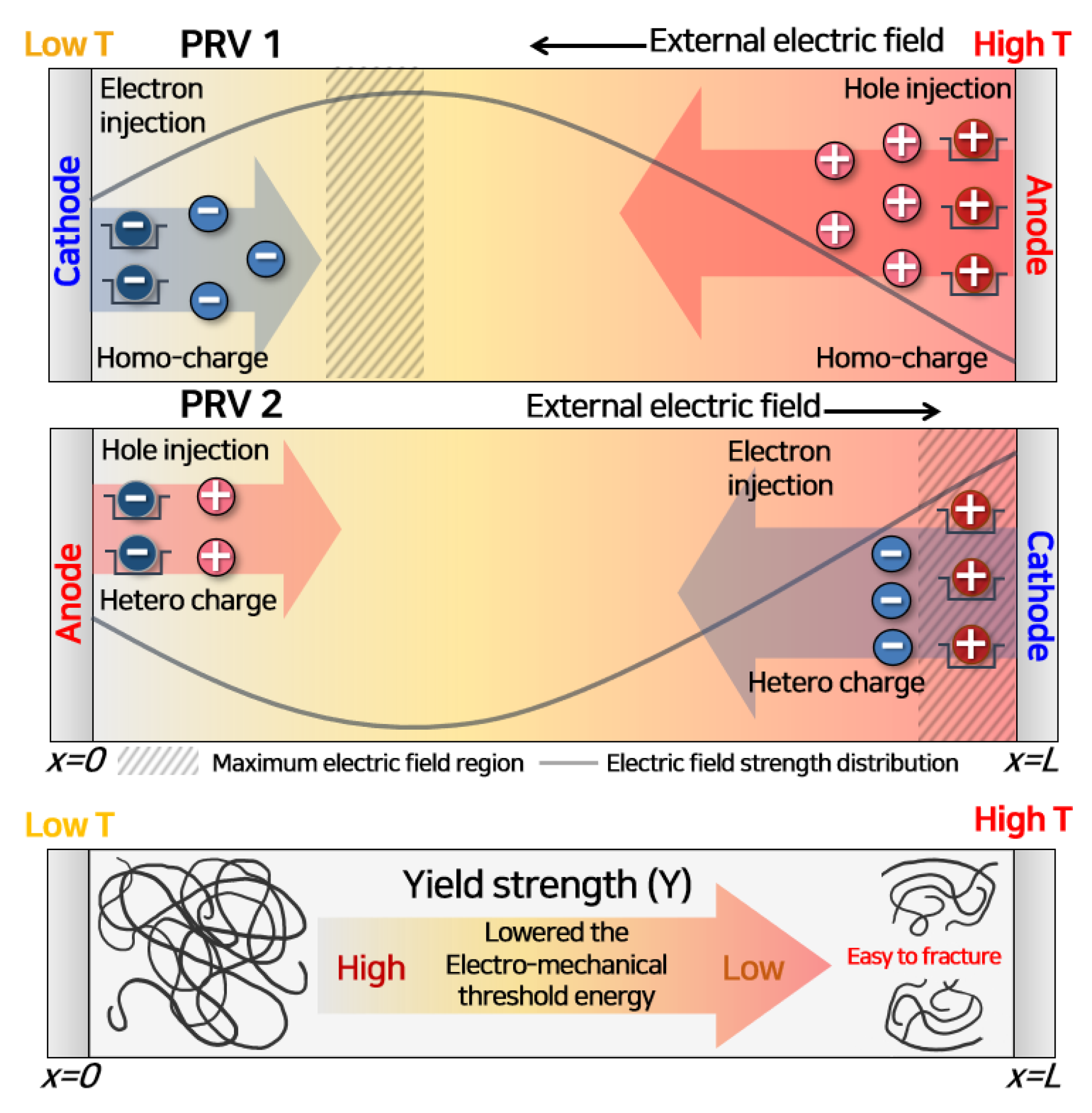 Polymers 13 02746 g011