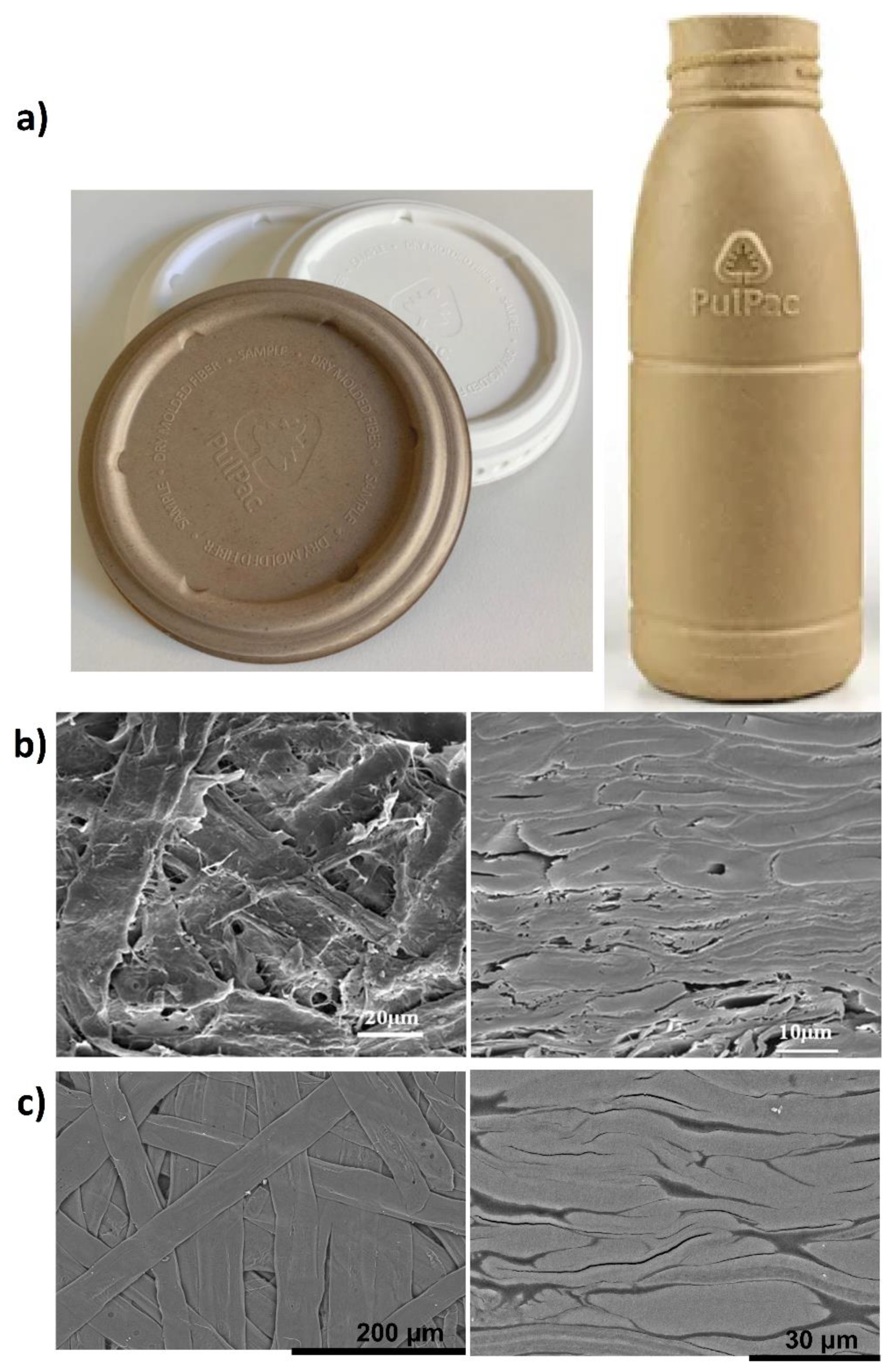 Polymers 13 02747 g001