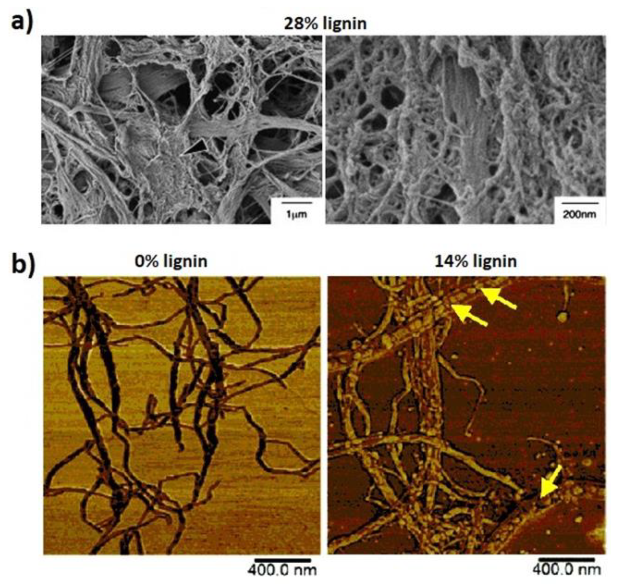 Polymers 13 02747 g003