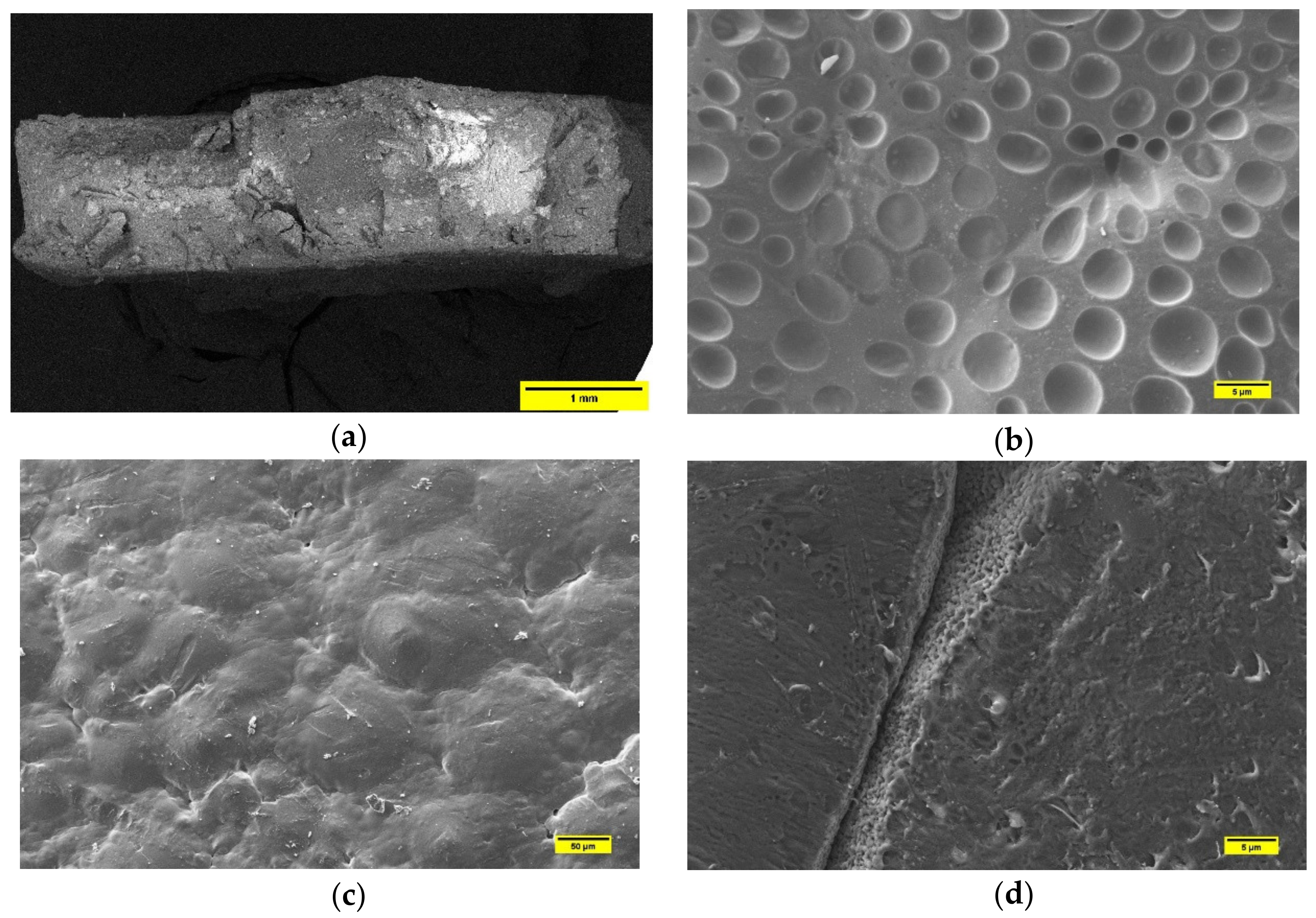 Polymers 13 02751 g007 550
