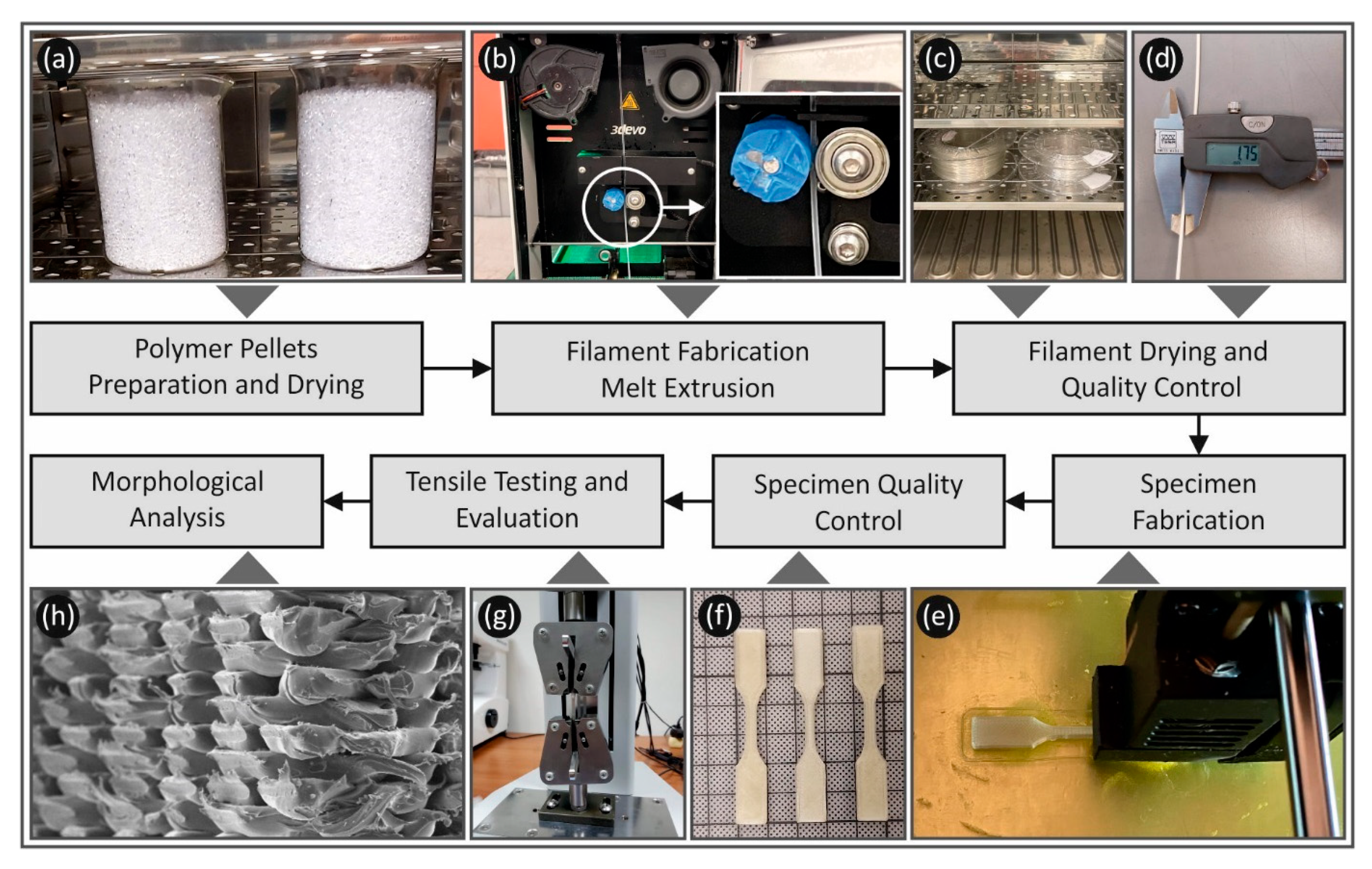 Polymers 13 02752 g001