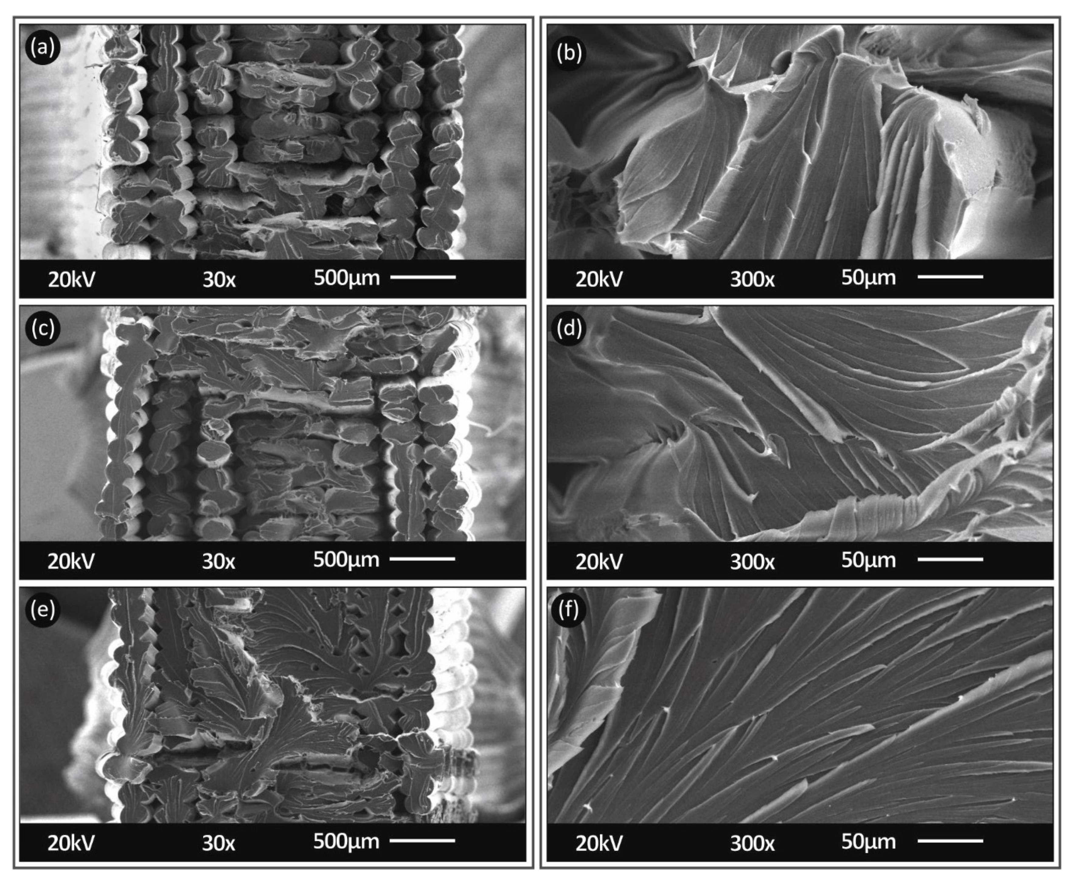 Polymers 13 02752 g012