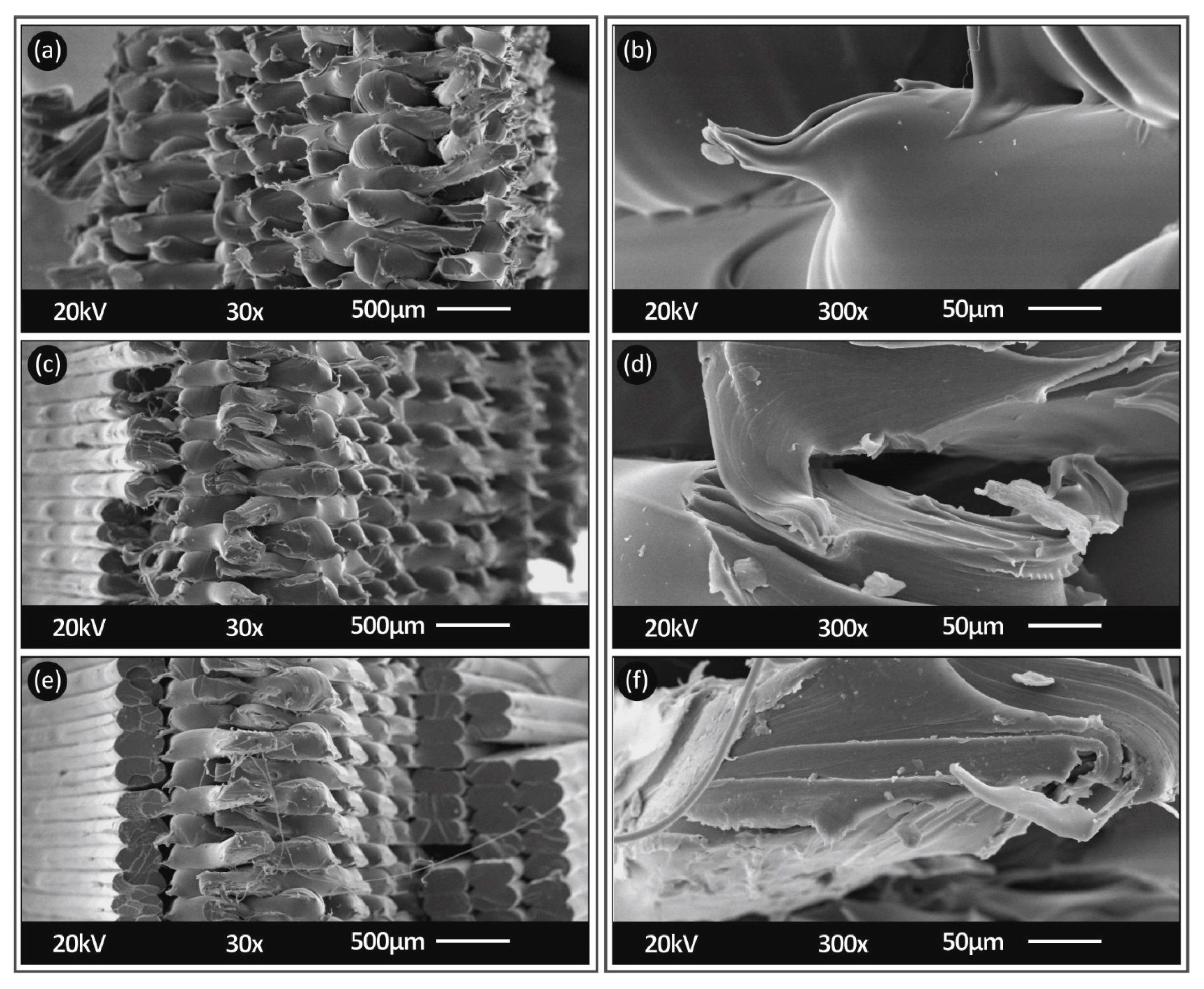 Polymers 13 02752 g013