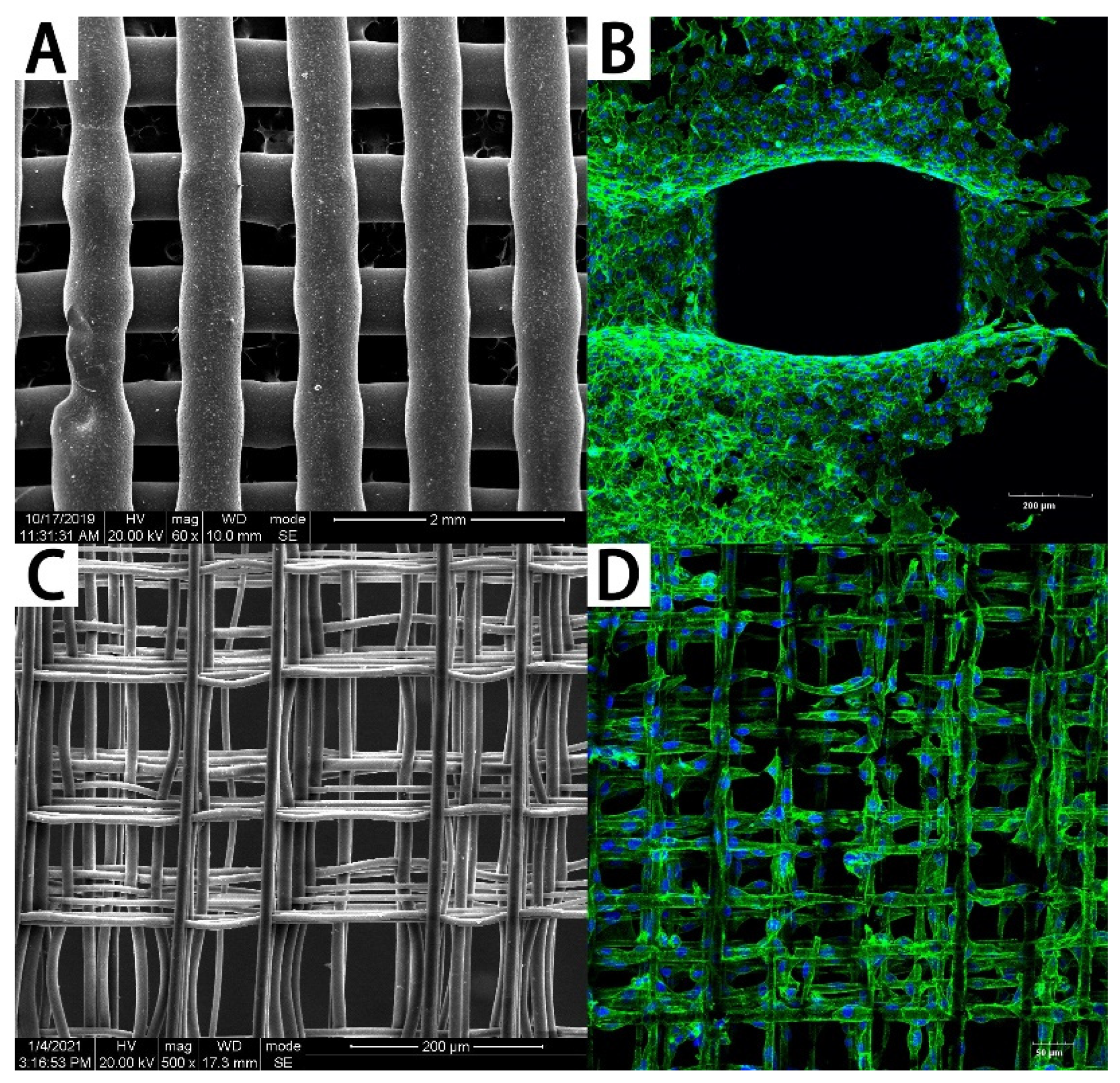 Polymers 13 02754 g002 550