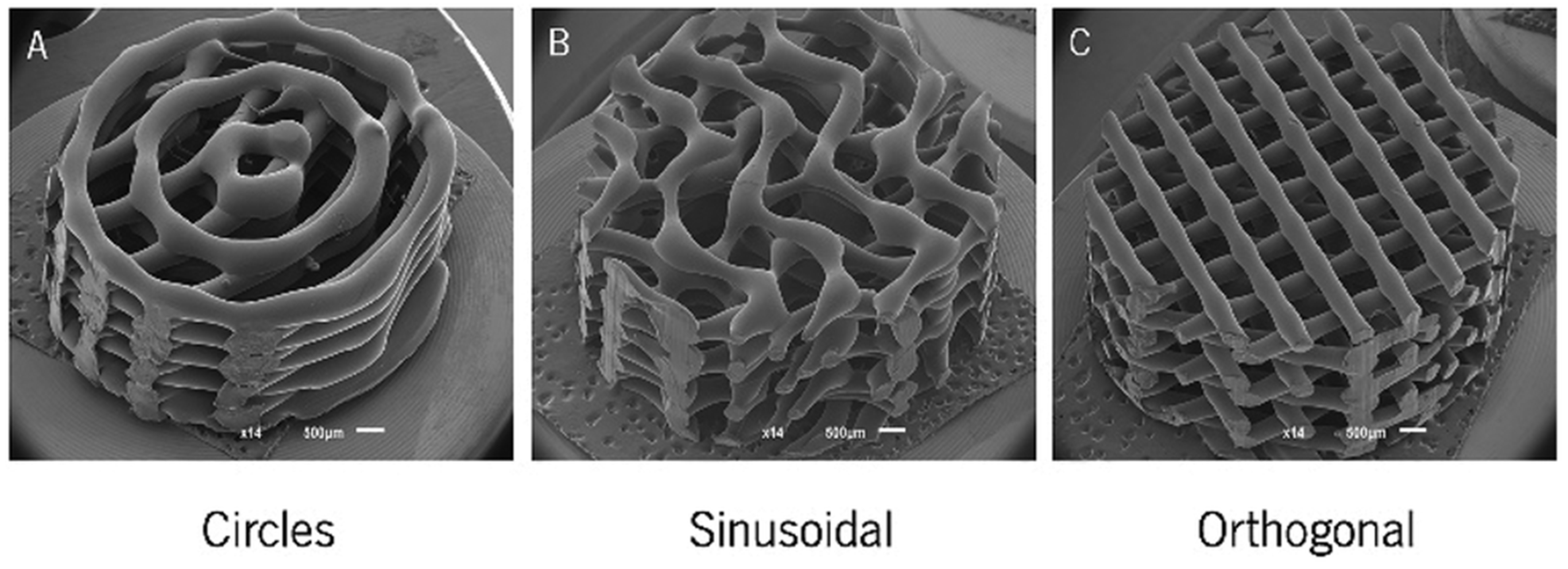 Polymers 13 02754 g003 550