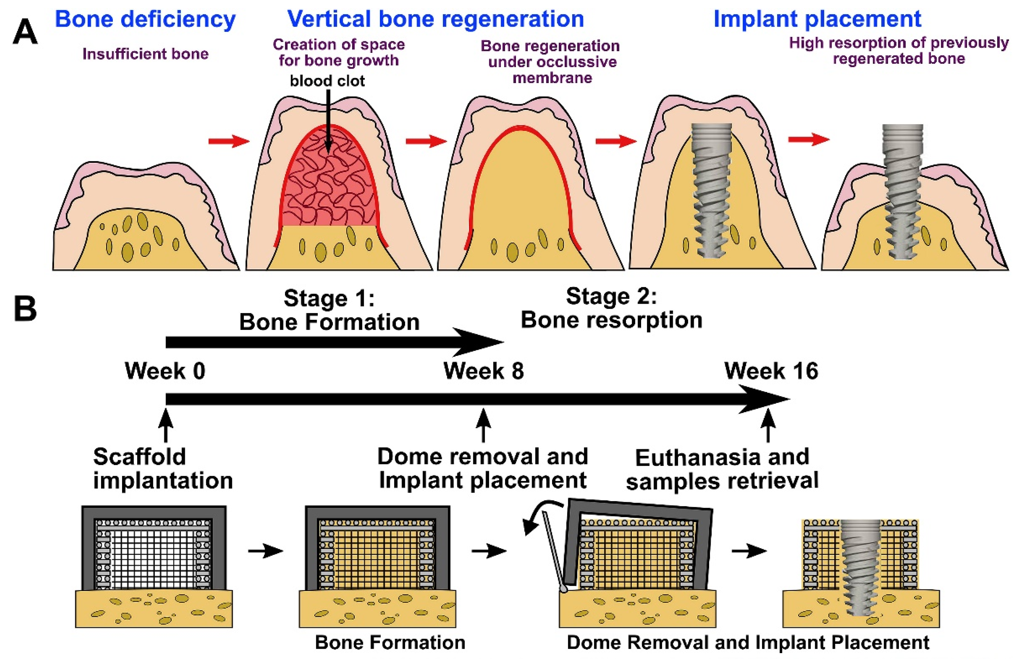 Polymers 13 02754 g005 550