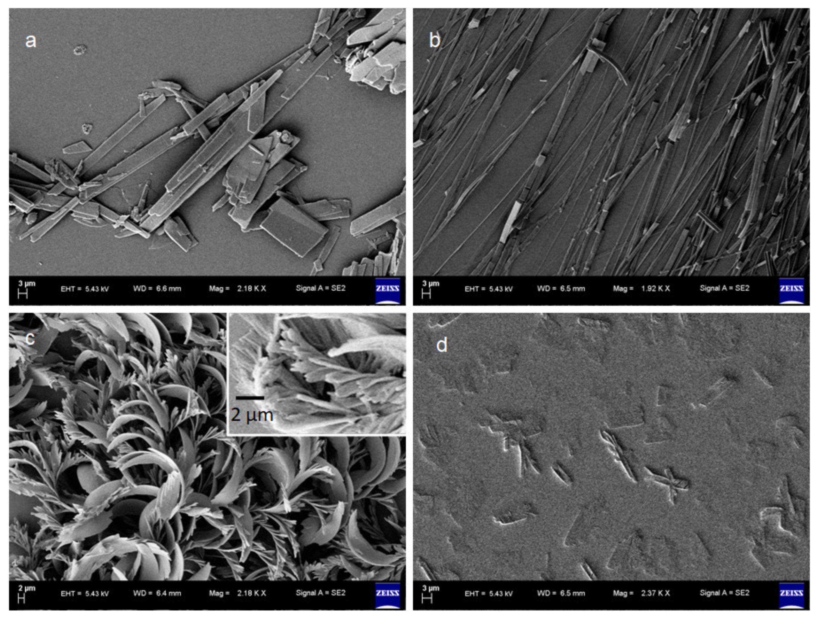 Polymers 13 02762 g004