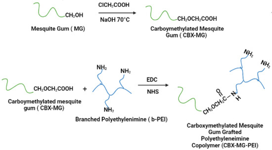 Polymers | Free Full-Text | Modification of Branched Polyethyleneimine  Using Mesquite Gum for Its Improved Hemocompatibility