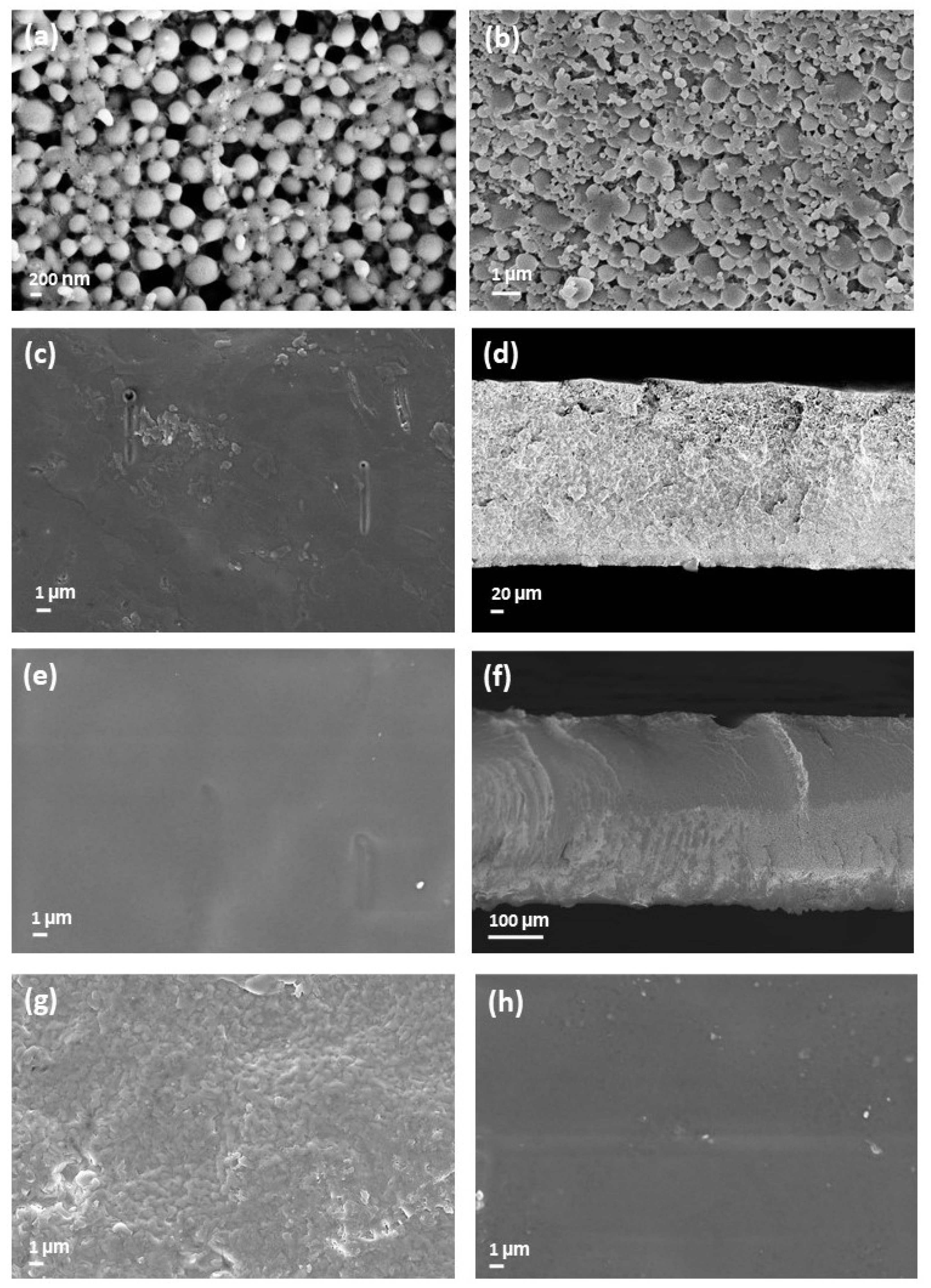 Polymers 13 02767 g005 Polymers 13 02767 g005