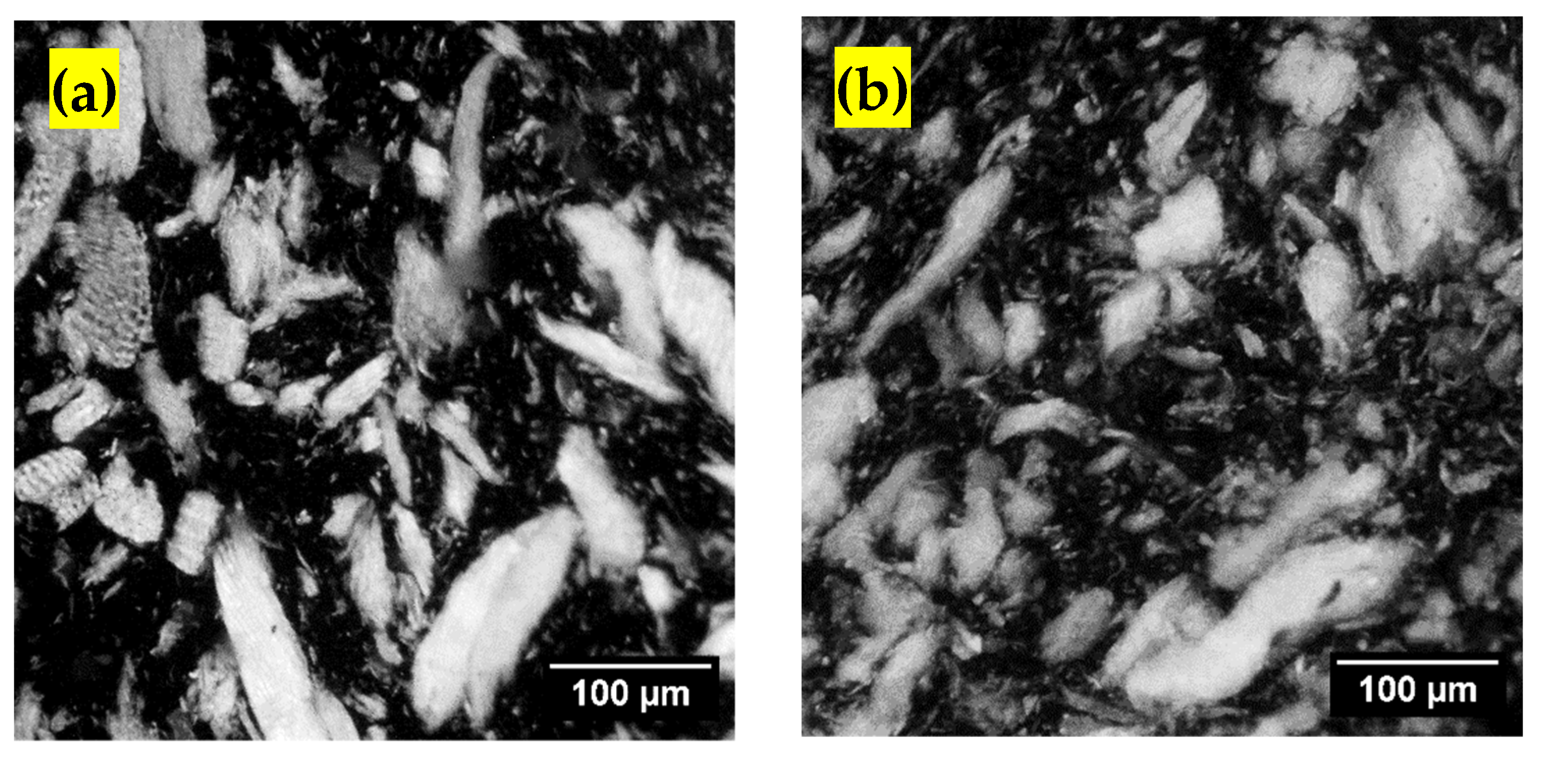 Polymers 13 02769 g002a 550