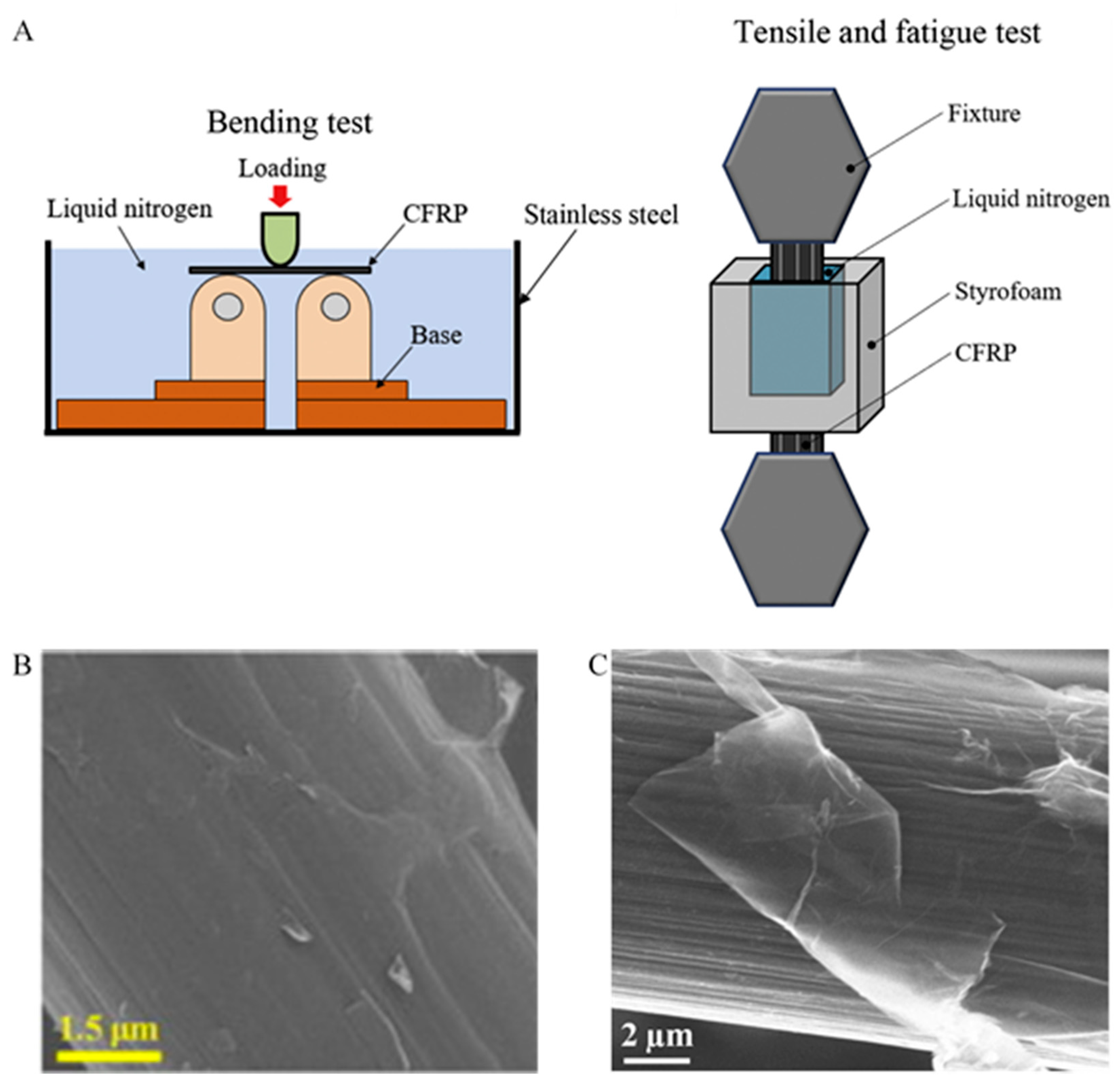 洋書 carbon-containing polymer composites Carbon Nanotube/Polymer Composites for Functional Applications