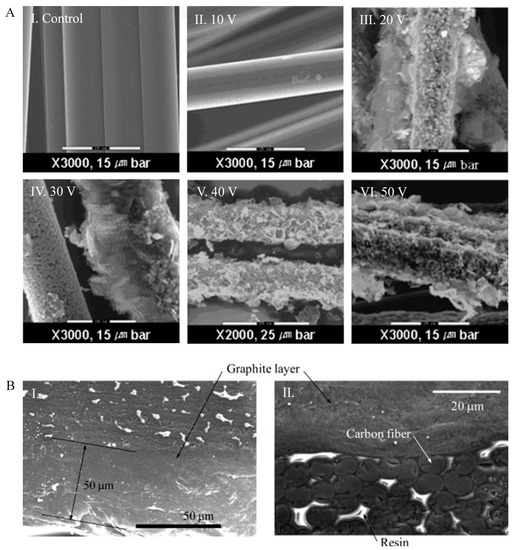 Polymers 13 02771 g004 550