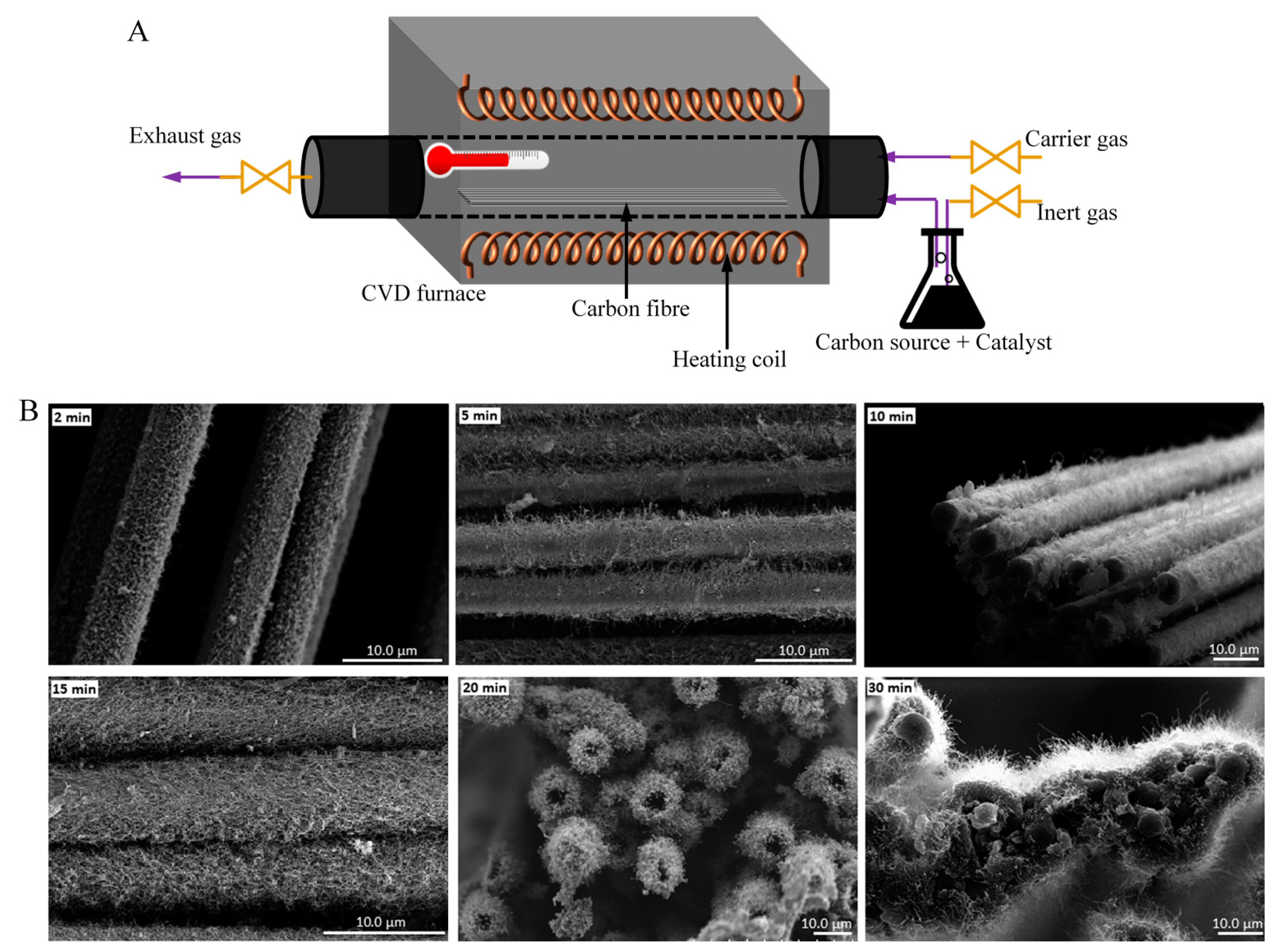 Polymers 13 02771 g005 Polymers 13 02771 g005