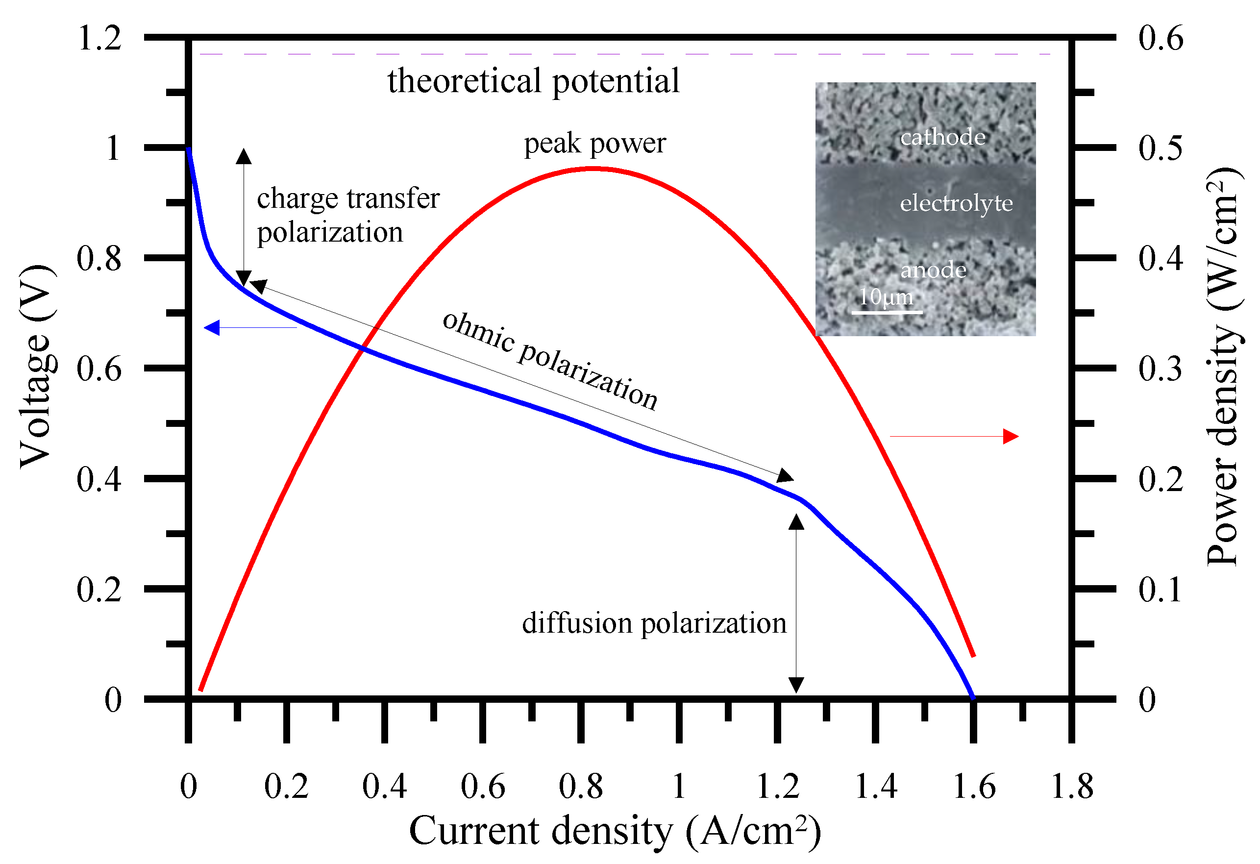Polymers 13 02774 g004
